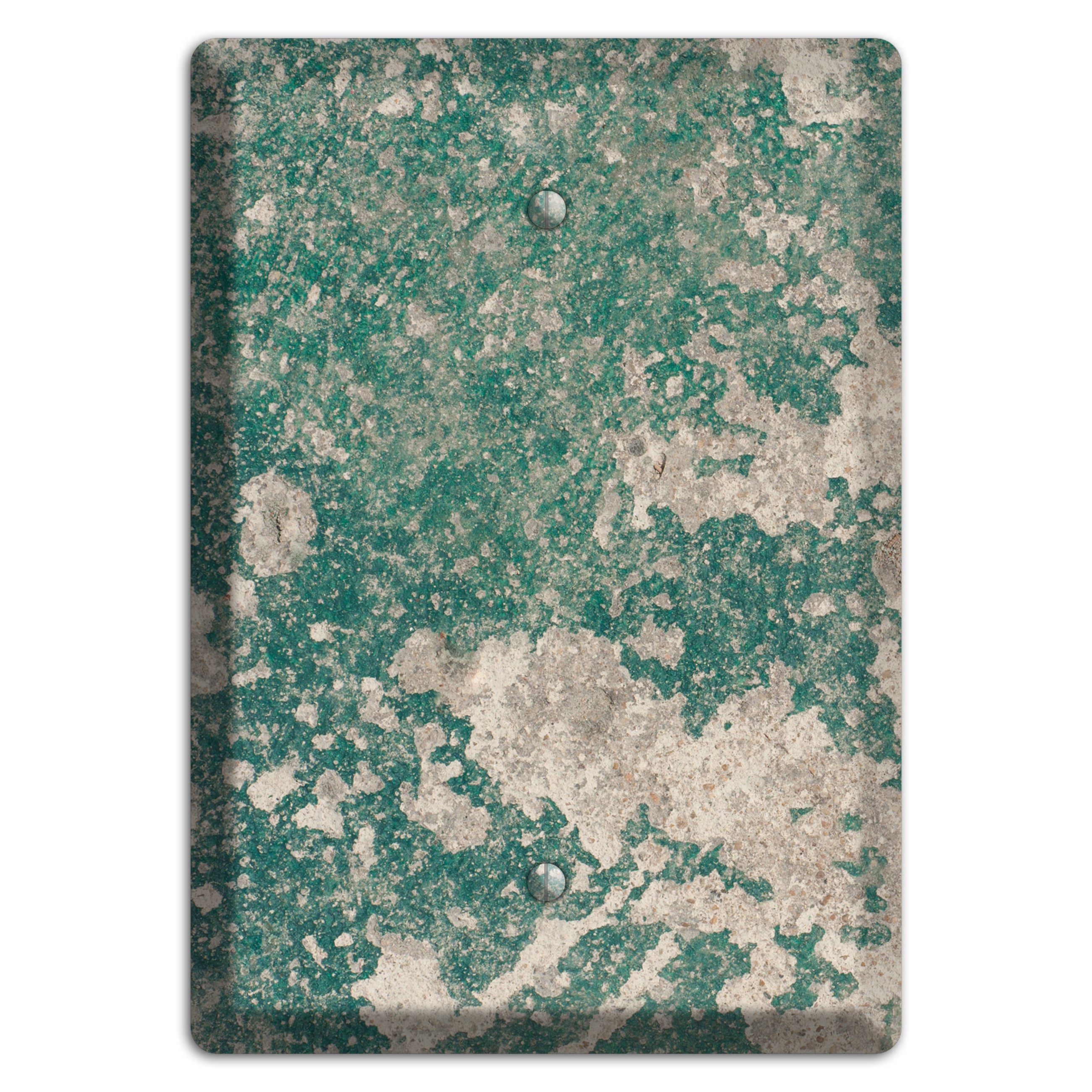 Verde Concrete Blank Wallplate