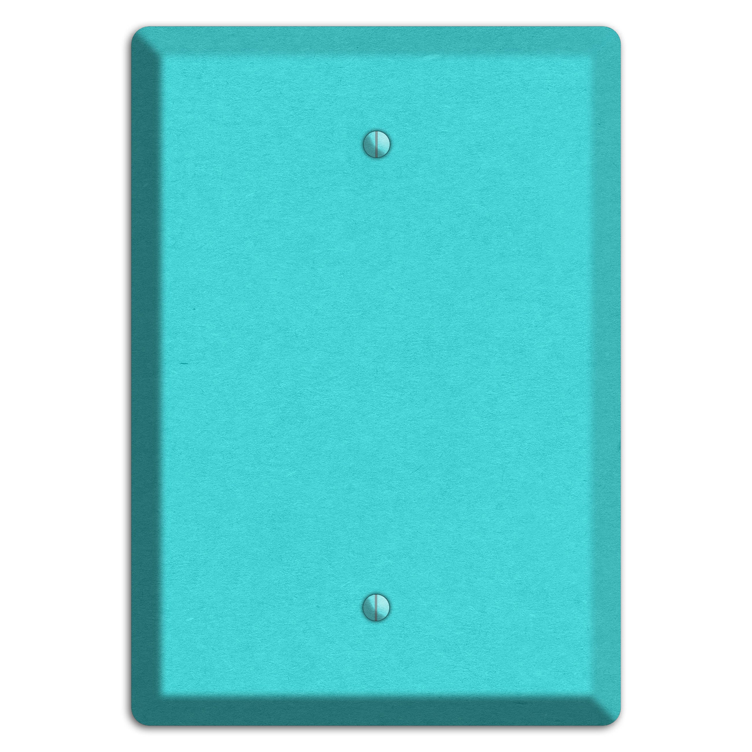 Turquoise Kraft Blank Wallplate