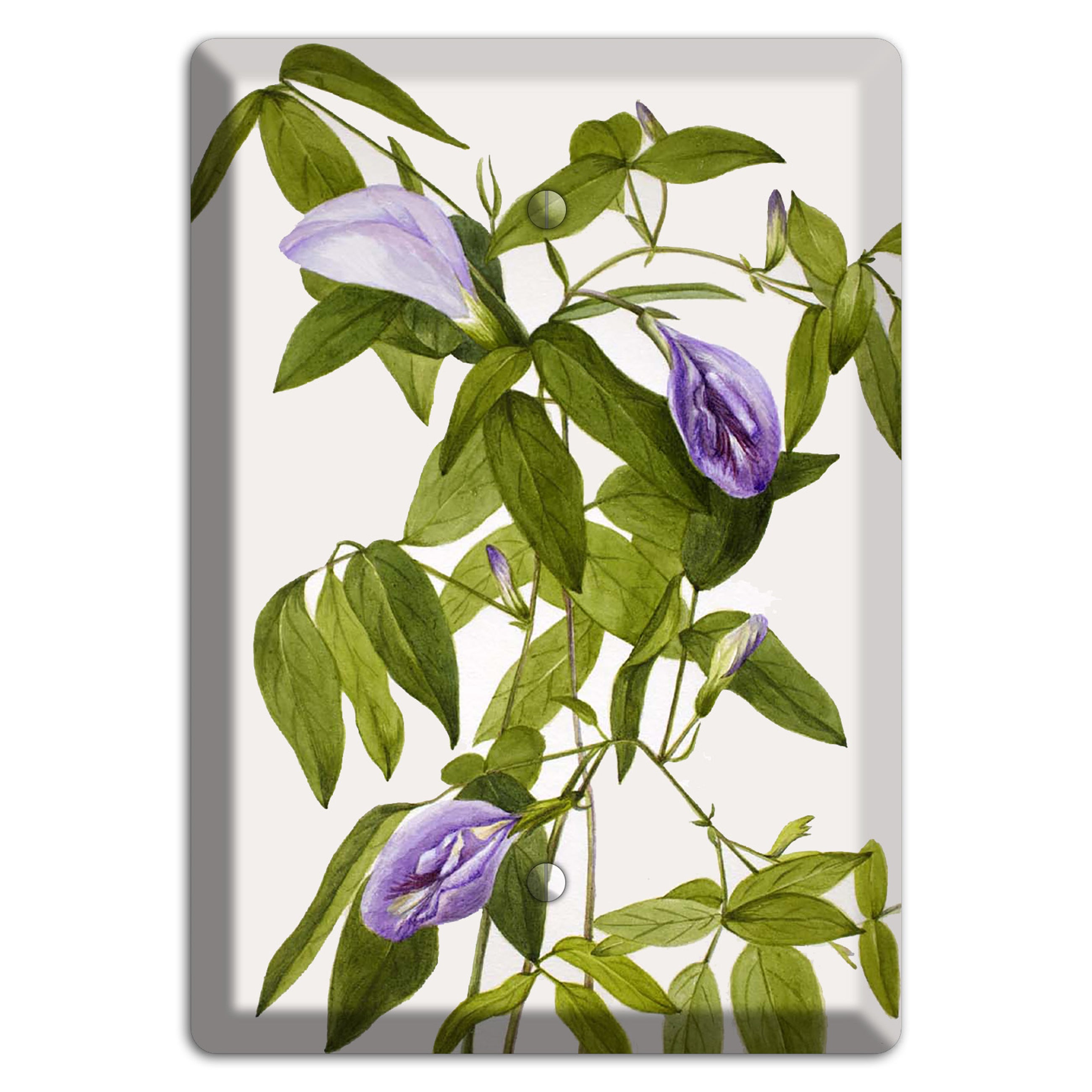 Clitoria Mariana Blank Wallplate