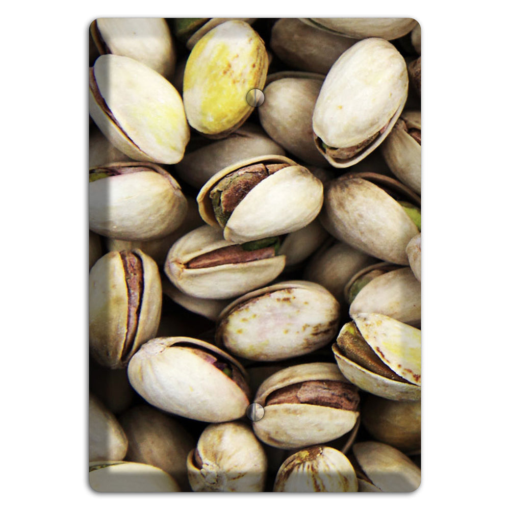 Pistachio Blank Wallplate