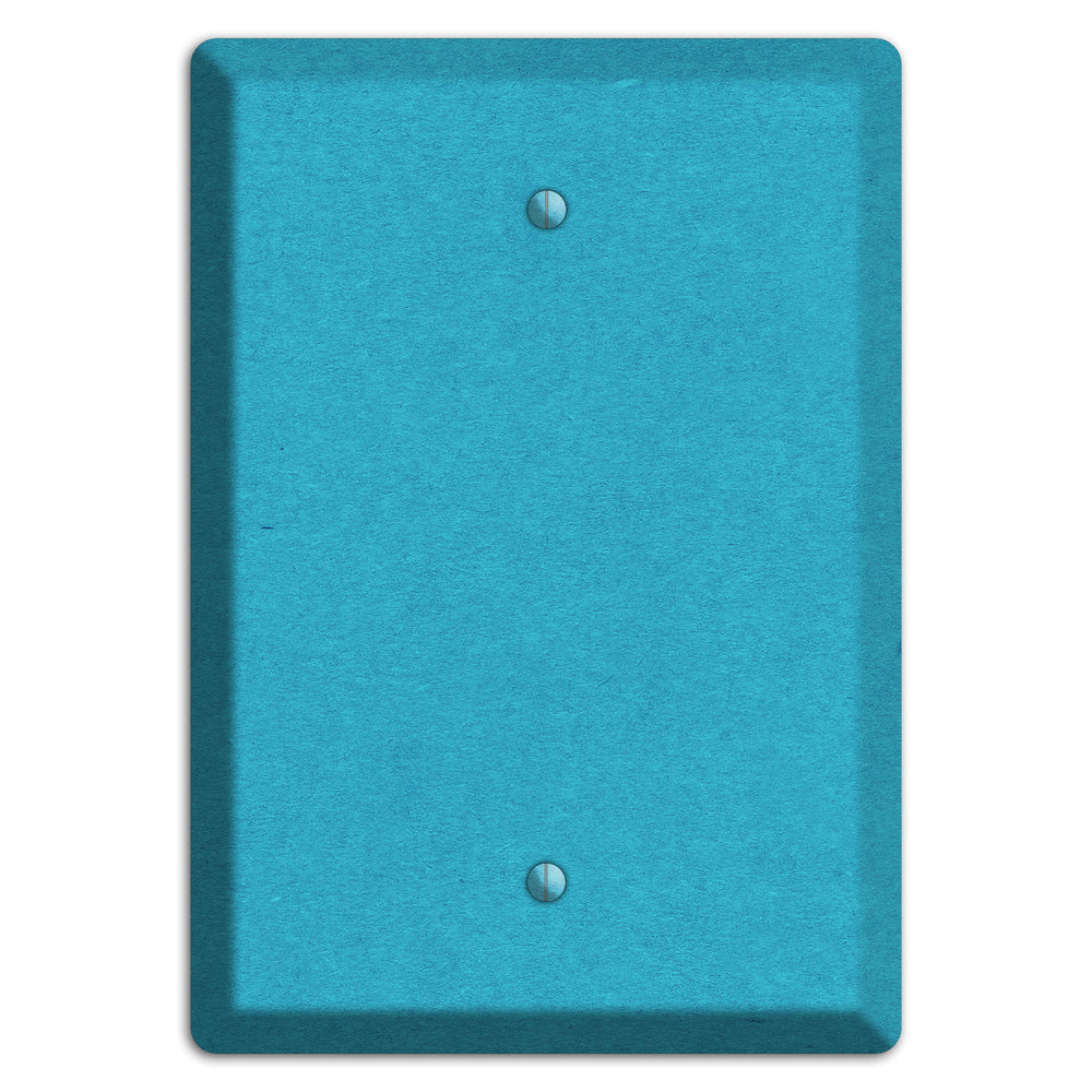 Scooter Kraft Blank Wallplate