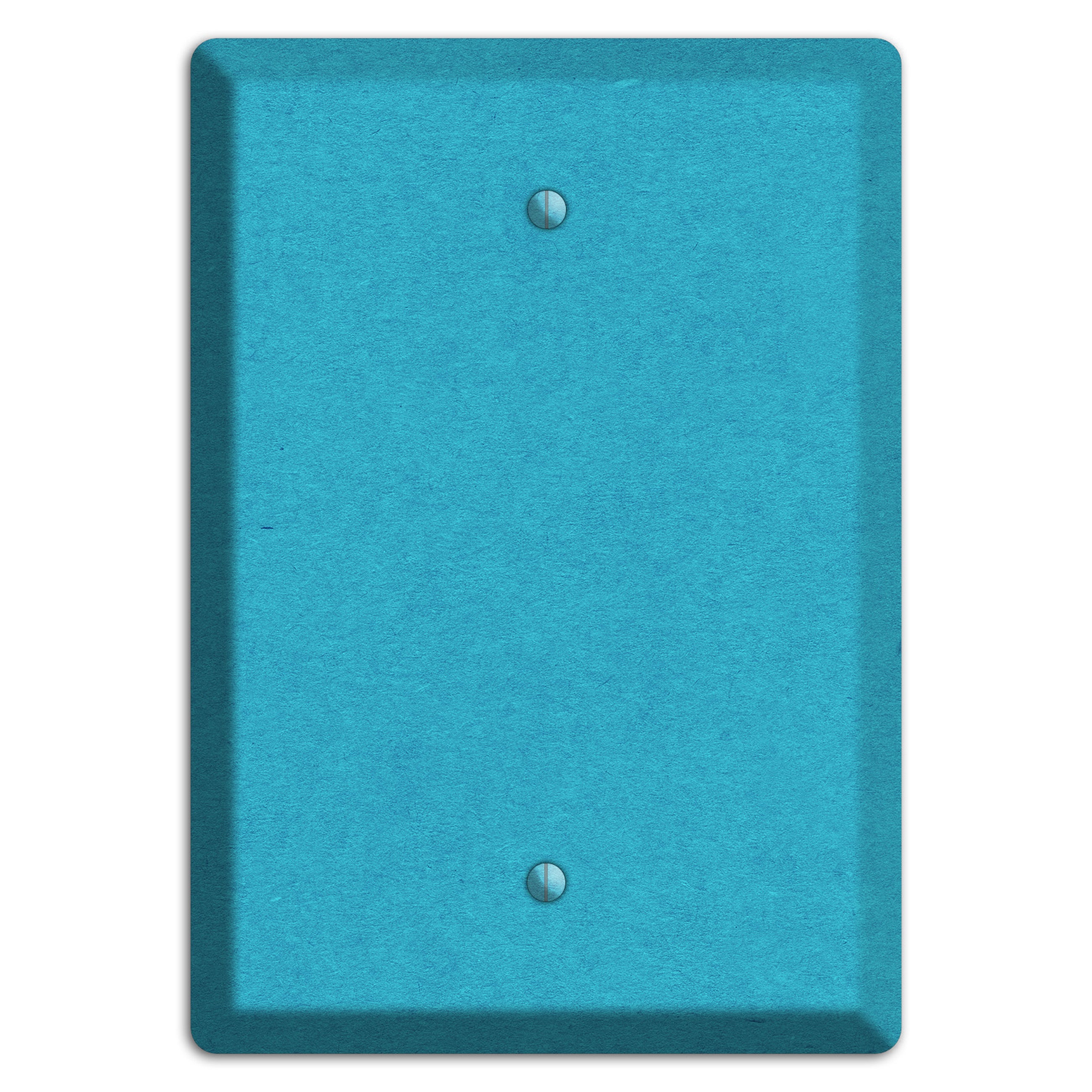 Scooter Kraft Blank Wallplate