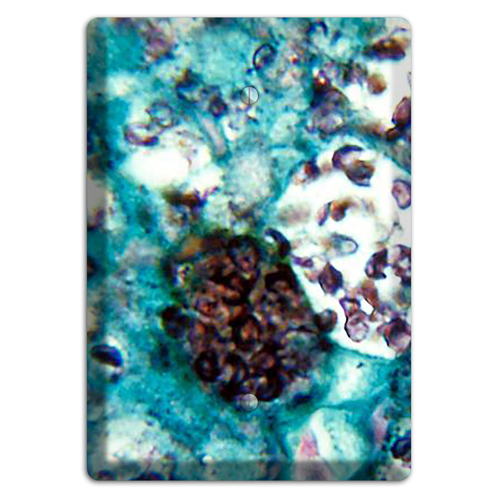 Histoplasmosis Capsulatum Blank Wallplate