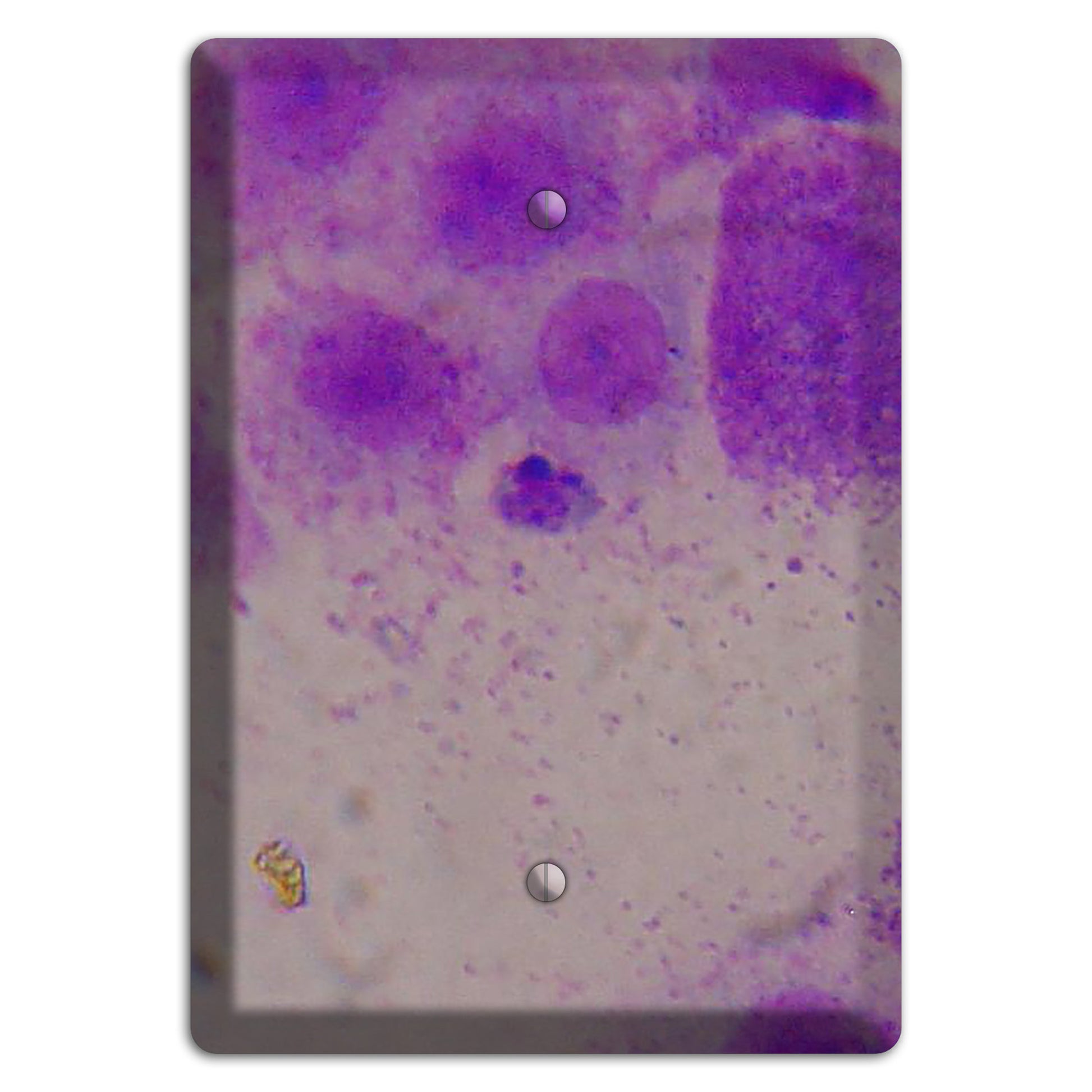Mast Cell Tumor Blank Wallplate
