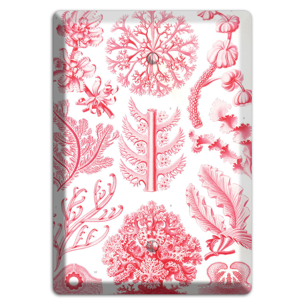 Haeckel - Florideae Blank Wallplate