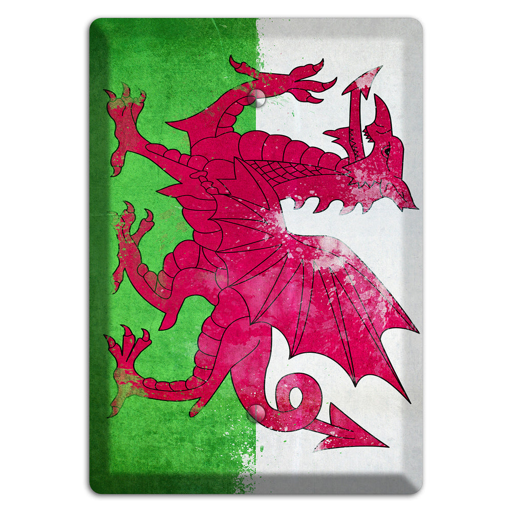 Wales Cover Plates Blank Wallplate