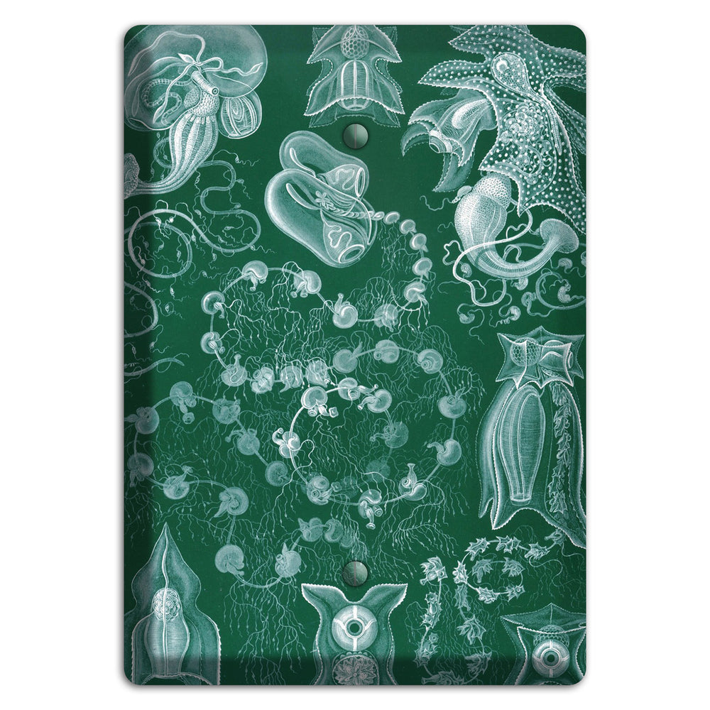 Haeckel - Siphonophorae 2 Blank Wallplate