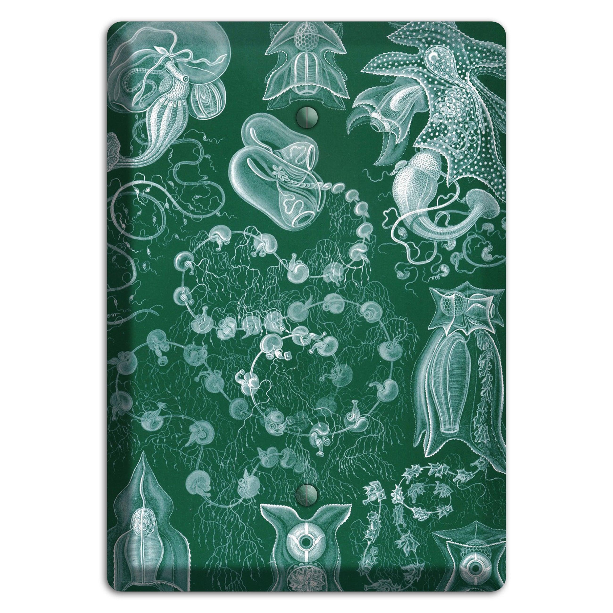 Haeckel - Siphonophorae 2 Blank Wallplate