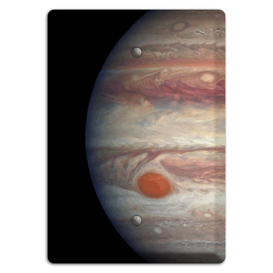 Jupiter's Blank Wallplate