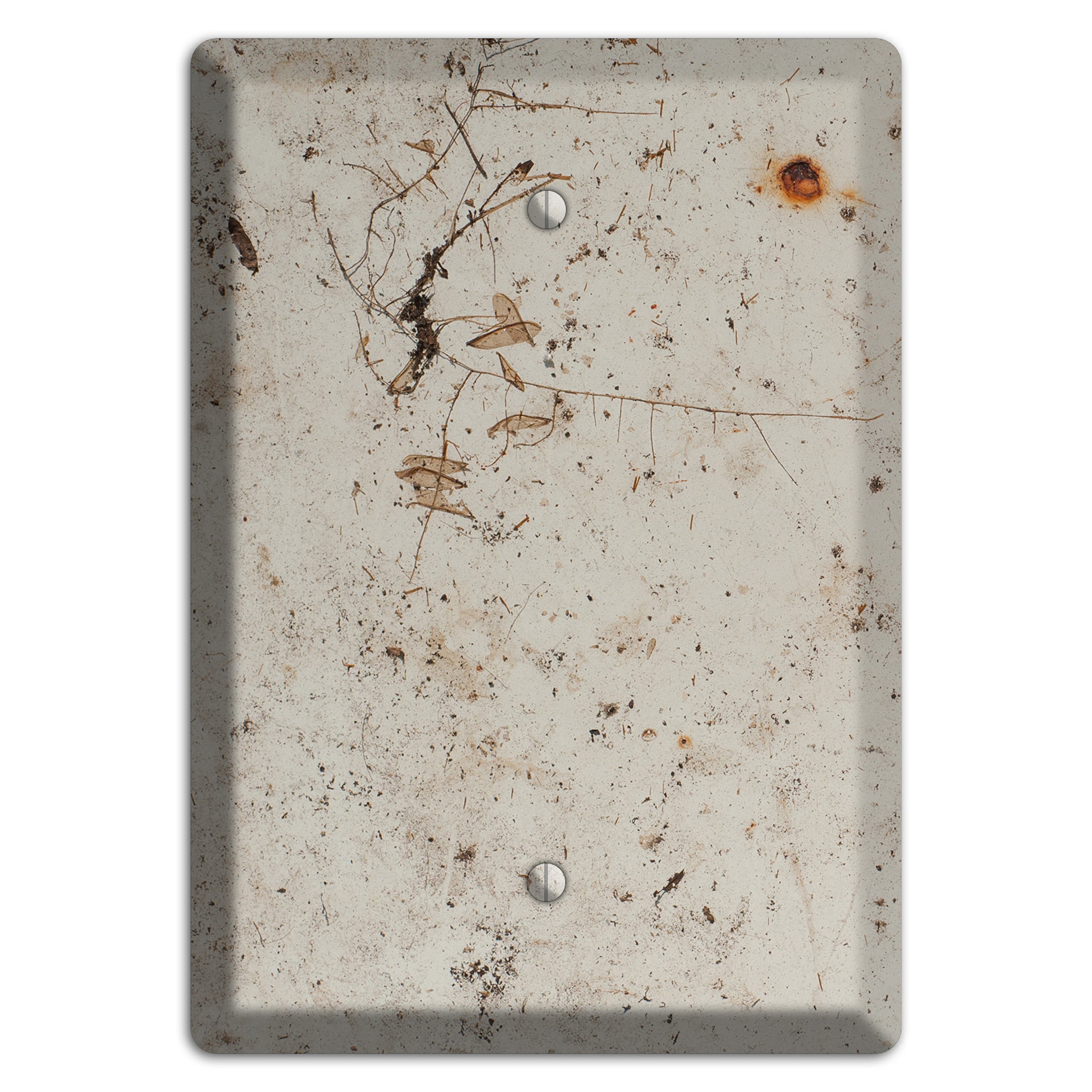 Spotted Concrete Blank Wallplate