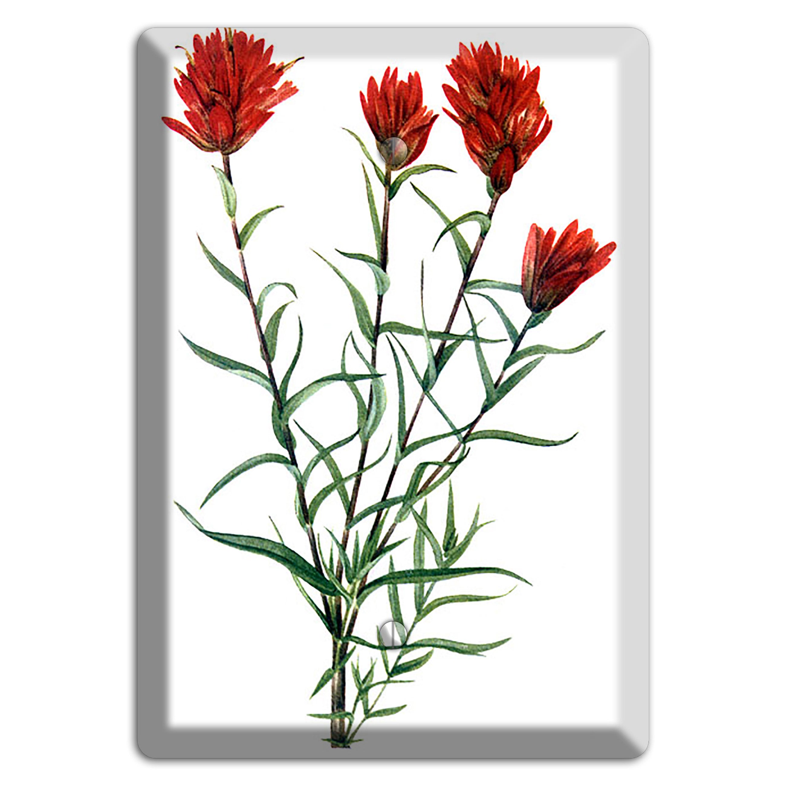 Castilleja Linarifolia Blank Wallplate