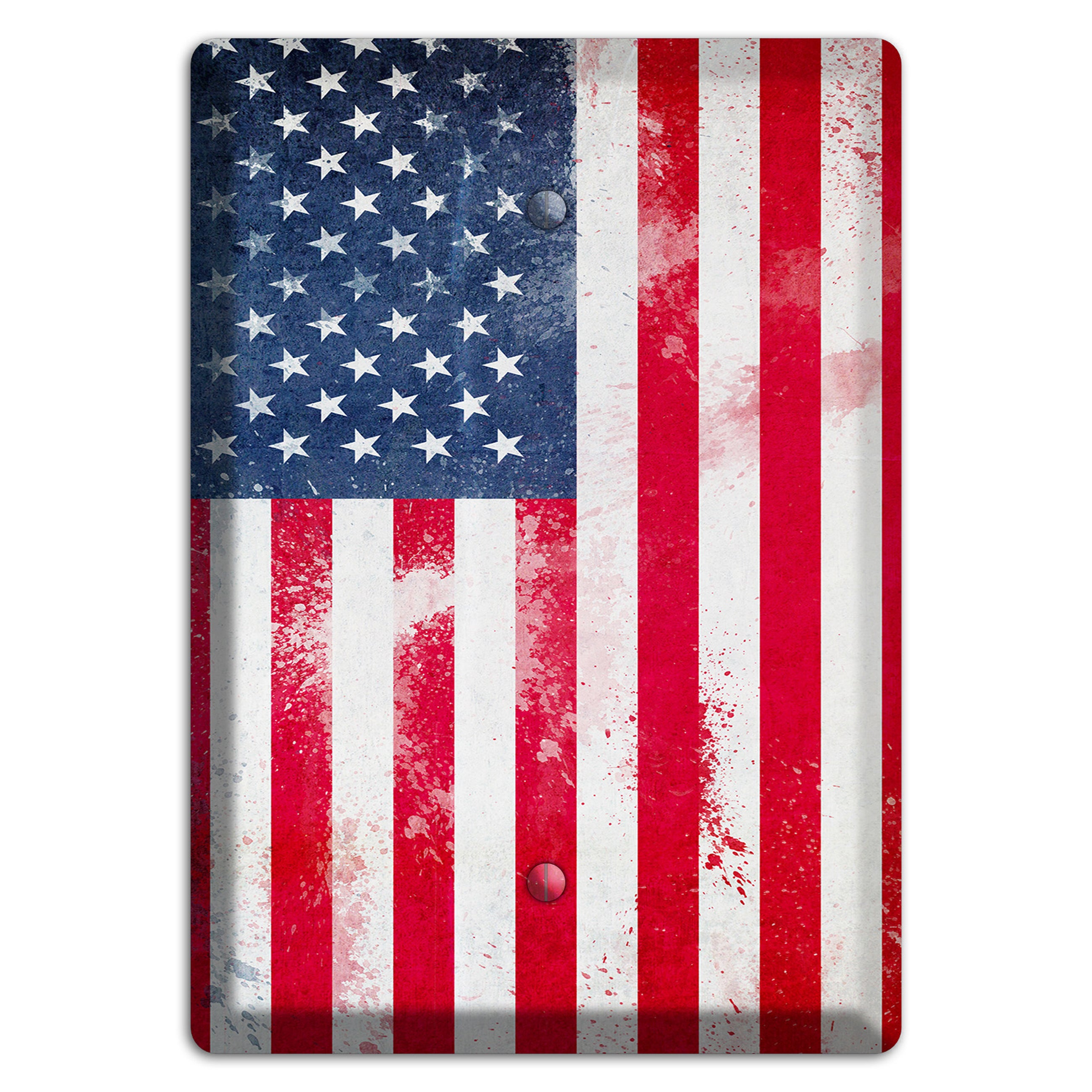 United States Cover Plates Blank Wallplate