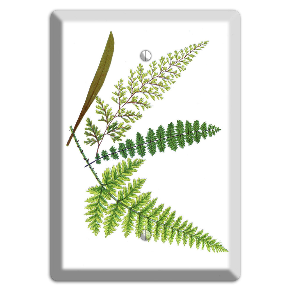 Ferns Blank Wallplate