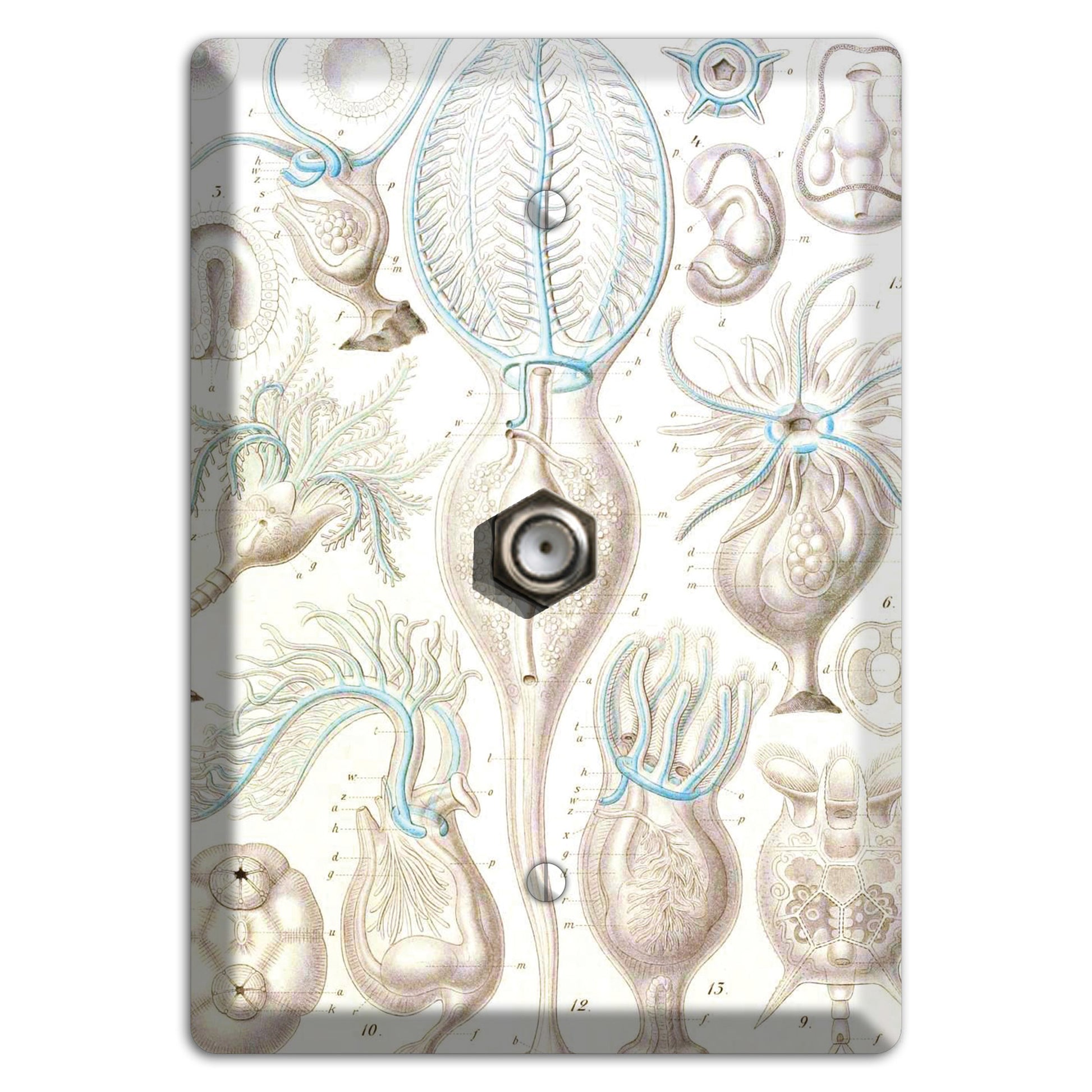 Haeckel - Microscopic Fossil 2 Cable Wallplate