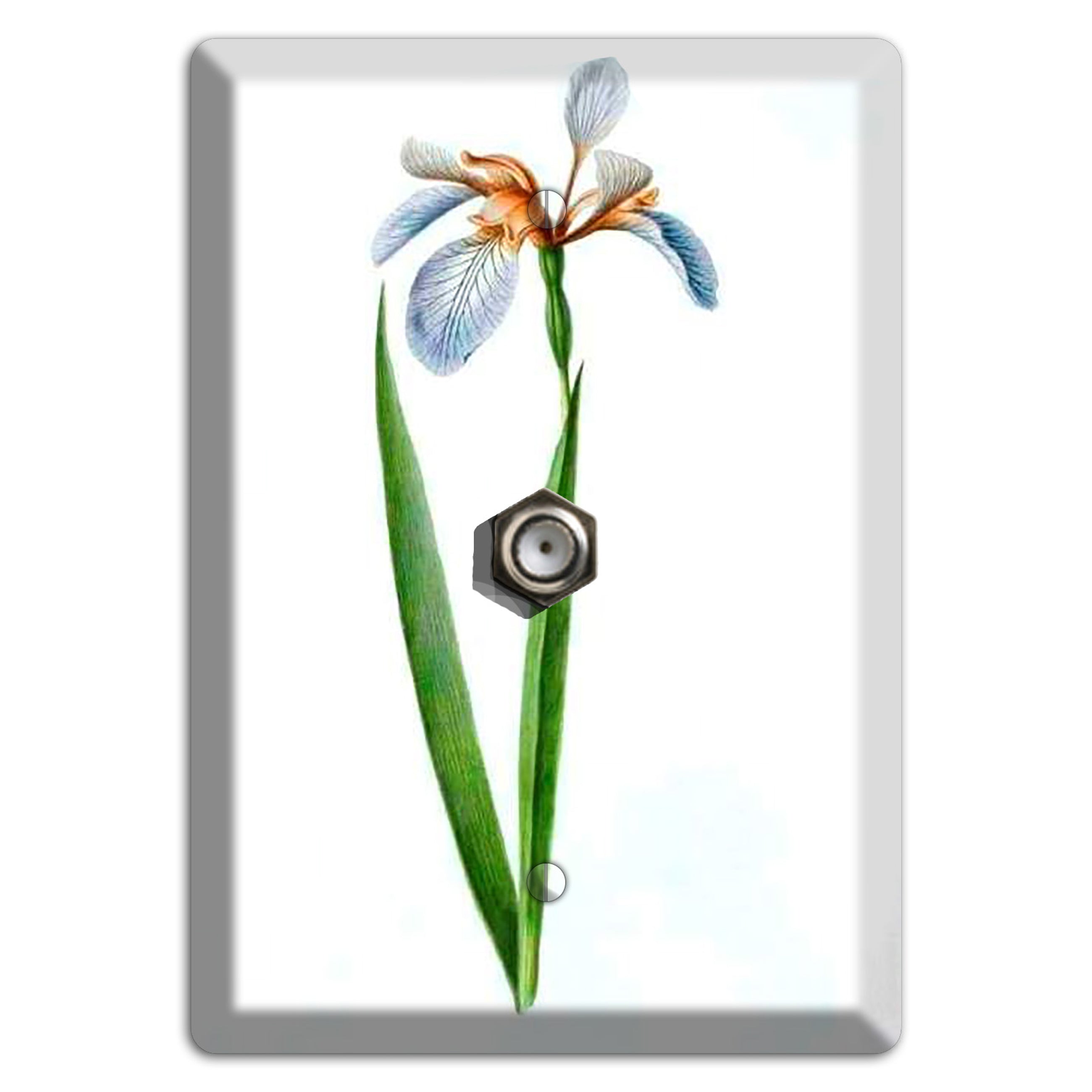 White Iris 2 Cable Wallplate