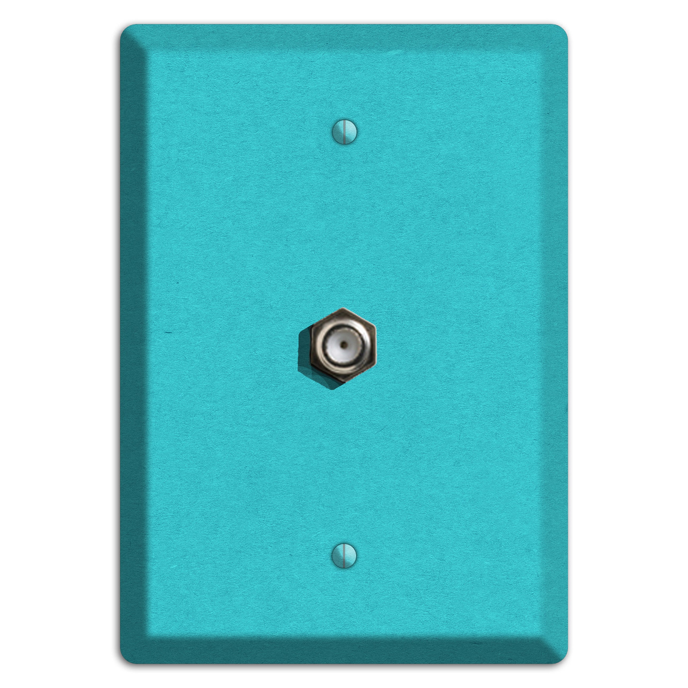 Medium Turquoise Kraft Cable Wallplate