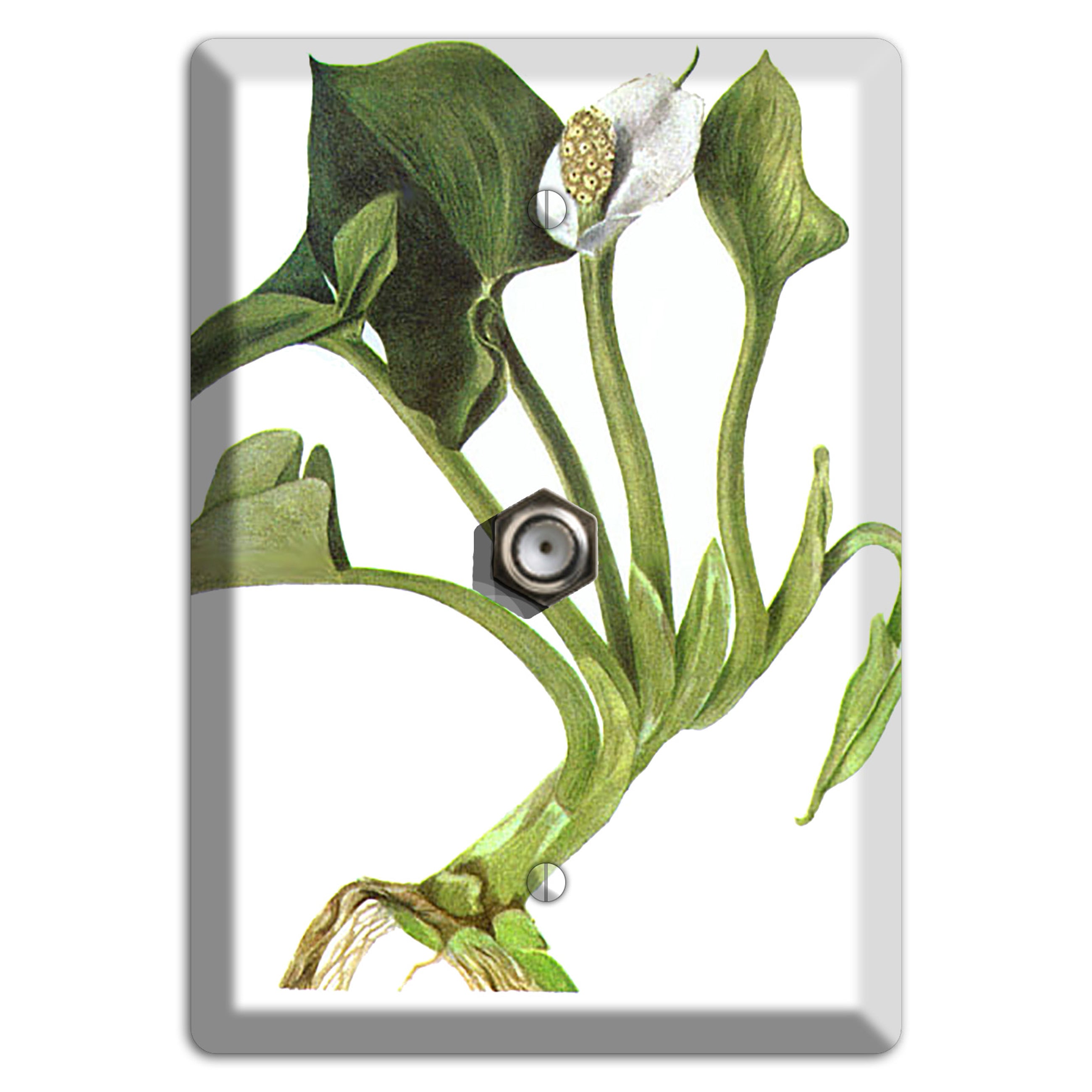 Calla Palustrie Cable Wallplate