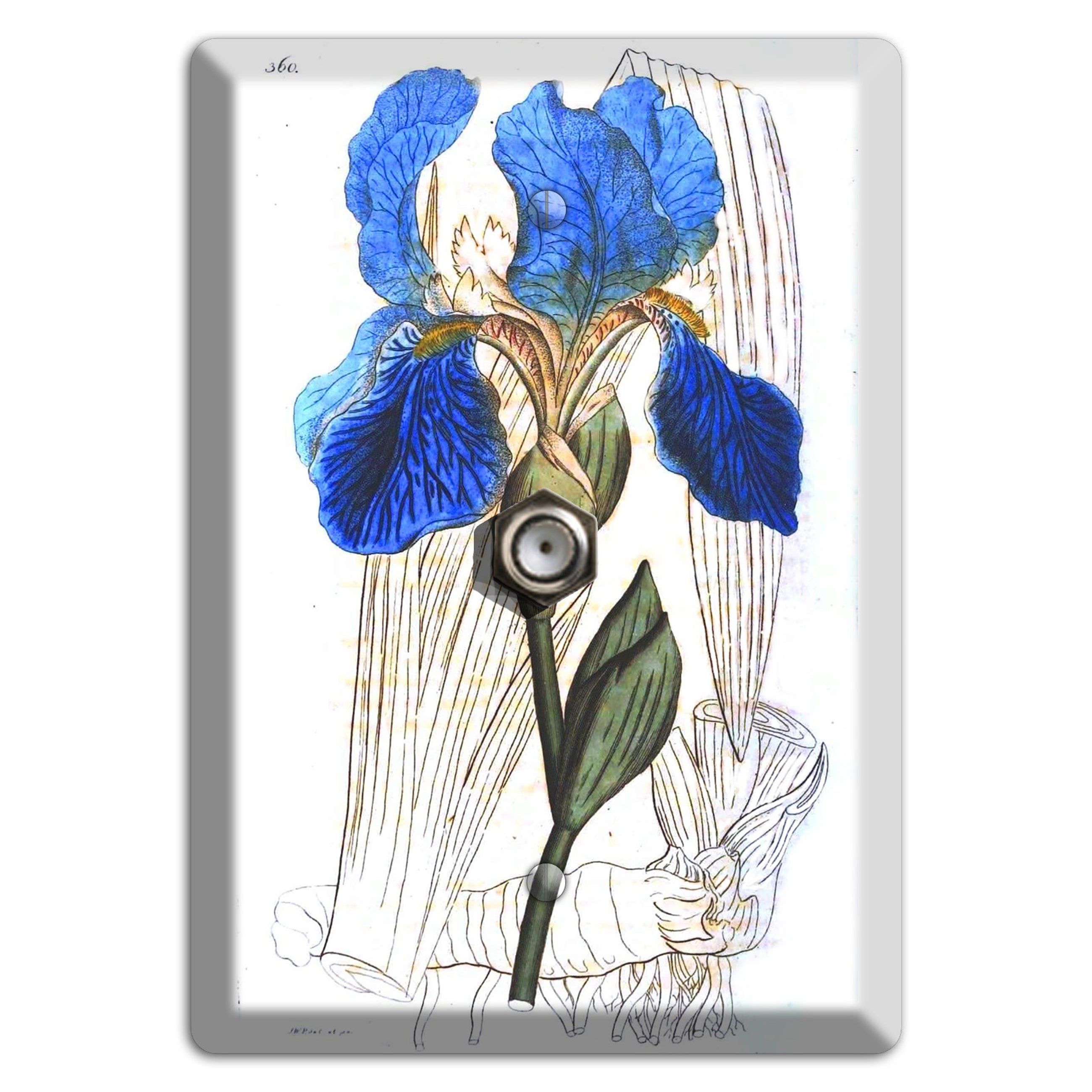 Blue Iris Cable Wallplate