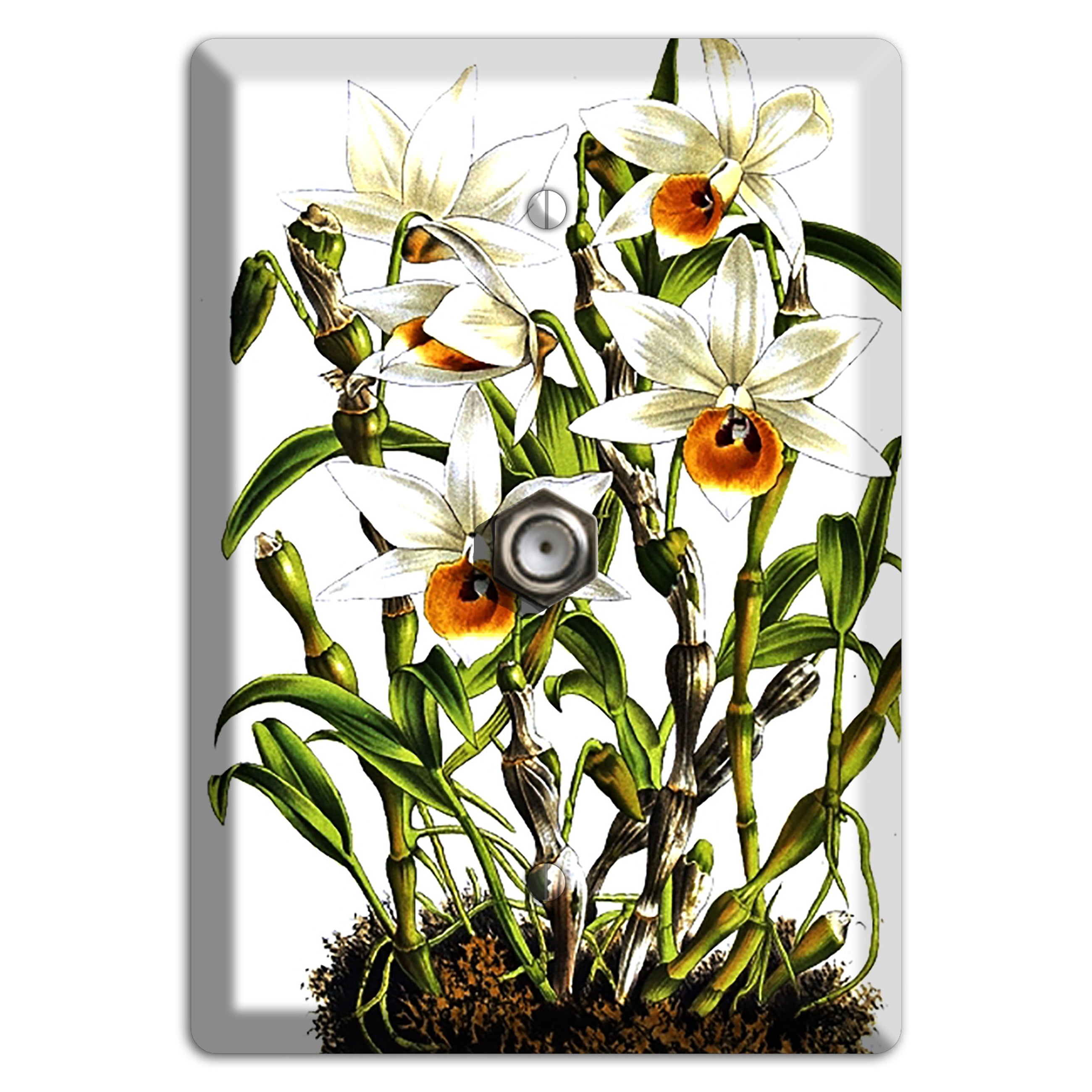 Dendrobium Cable Wallplate