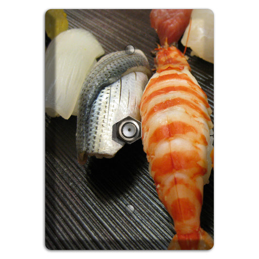 Sushi Cable Wallplate