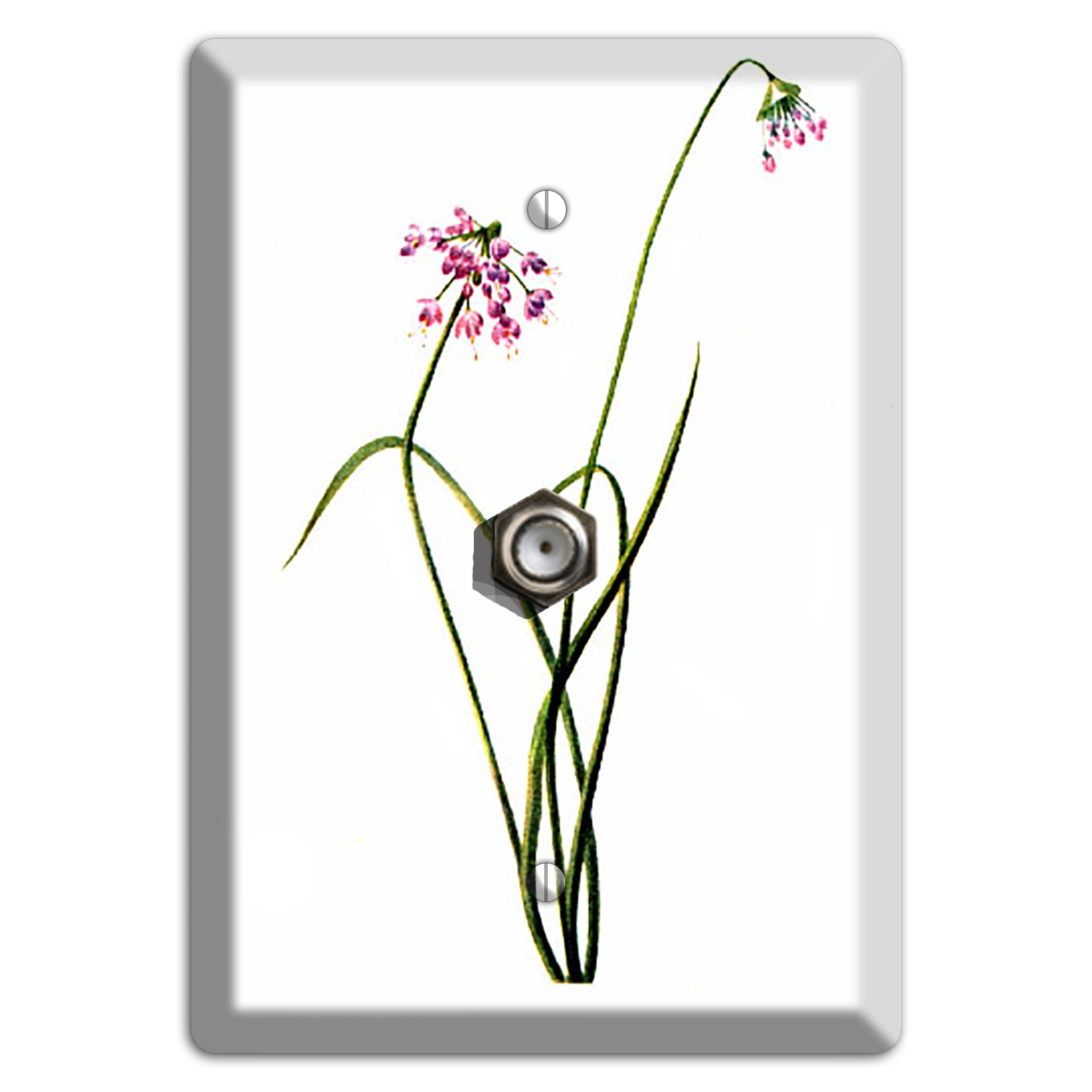 Allium Cernum Cable Wallplate