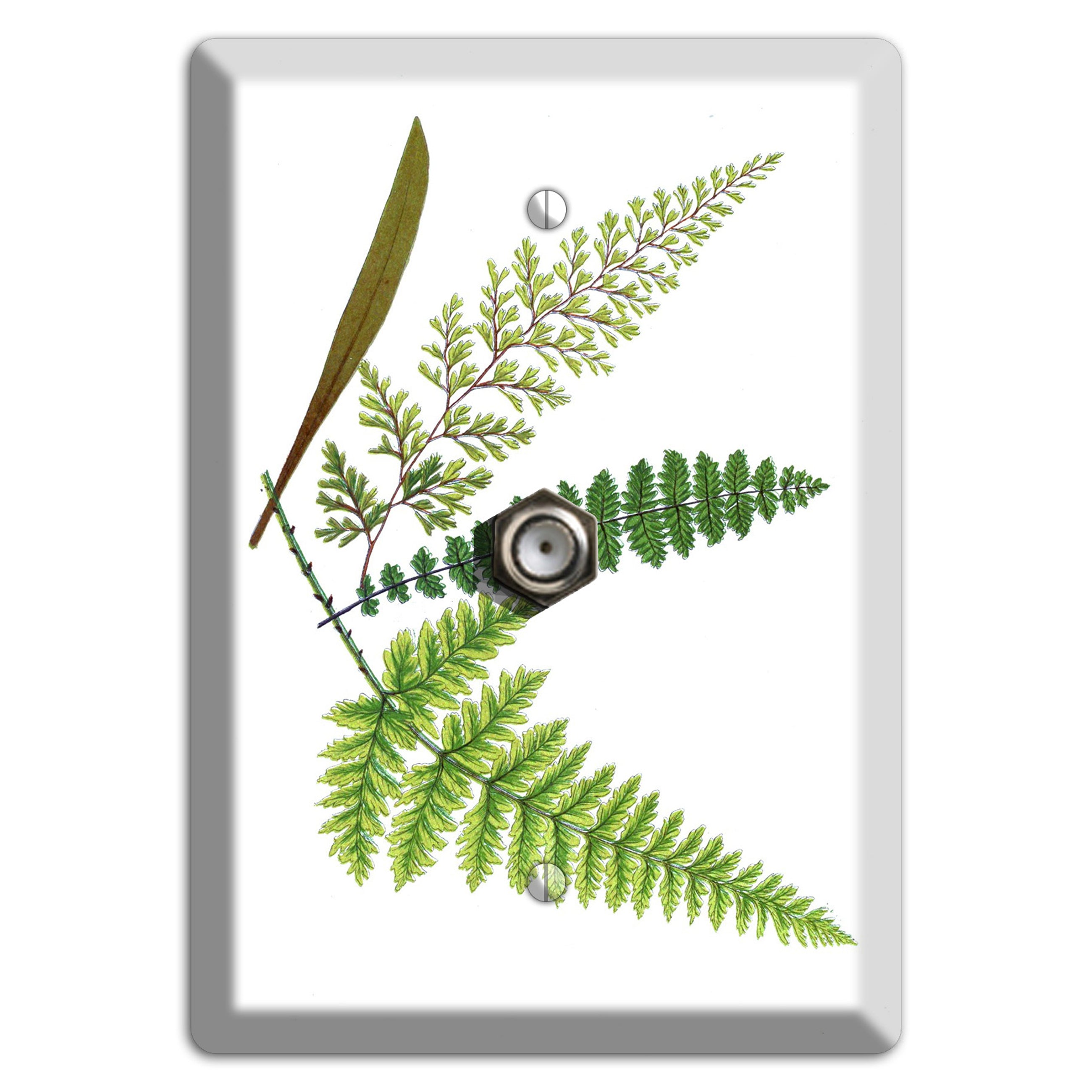 Ferns Cable Wallplate
