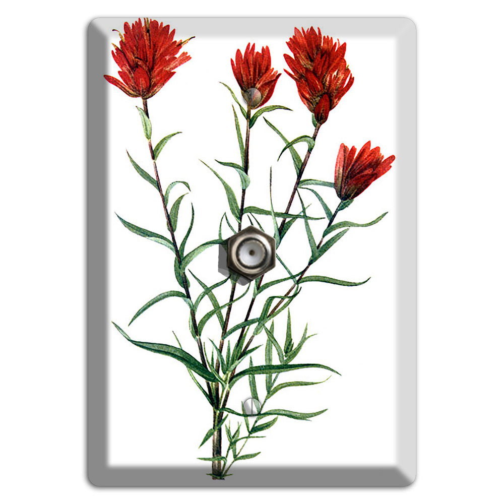 Castilleja Linarifolia Cable Wallplate