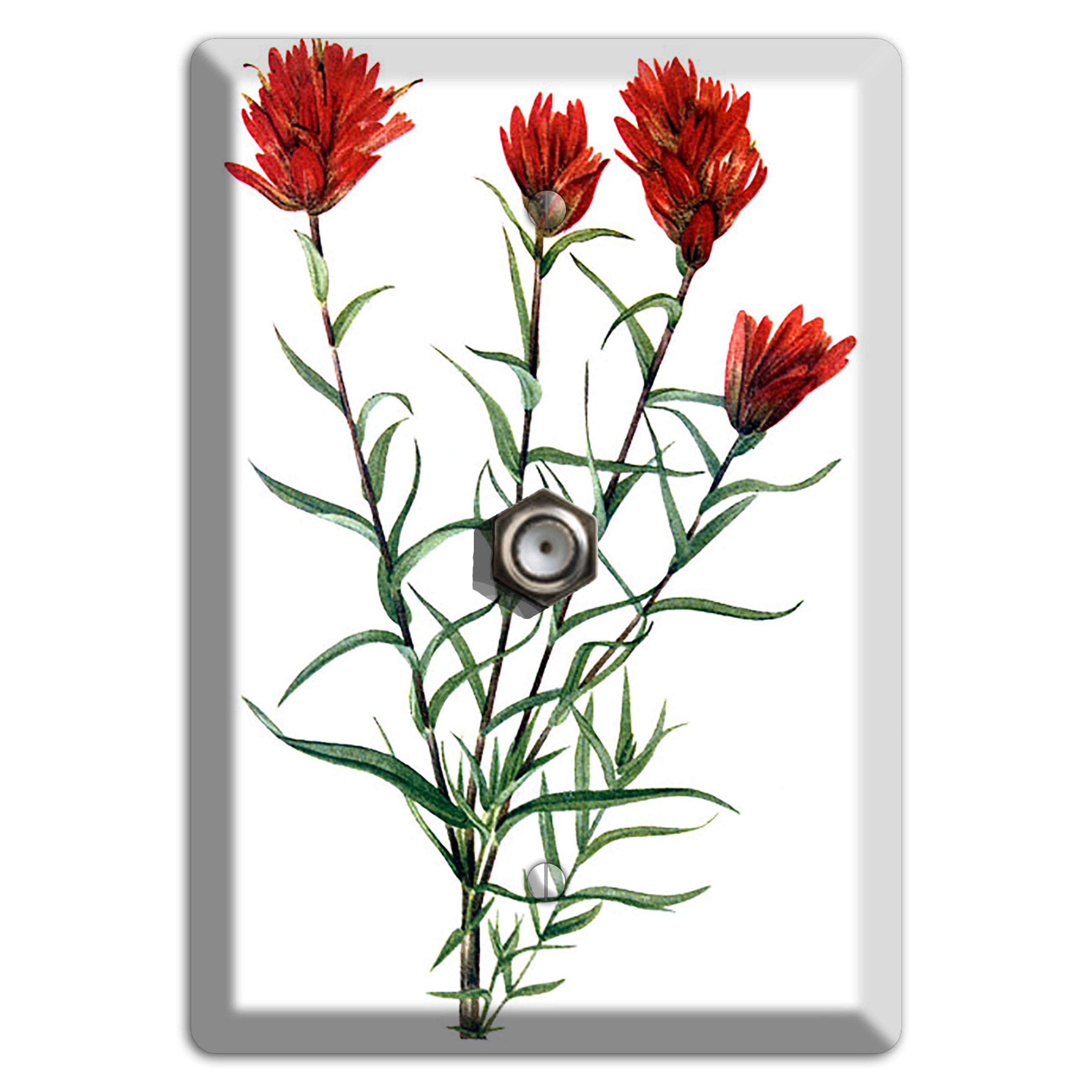 Castilleja Linarifolia Cable Wallplate