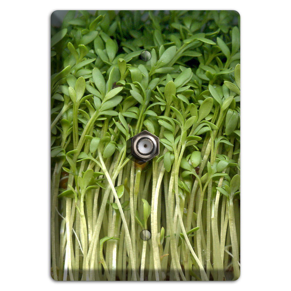 Sprouts Cable Wallplate