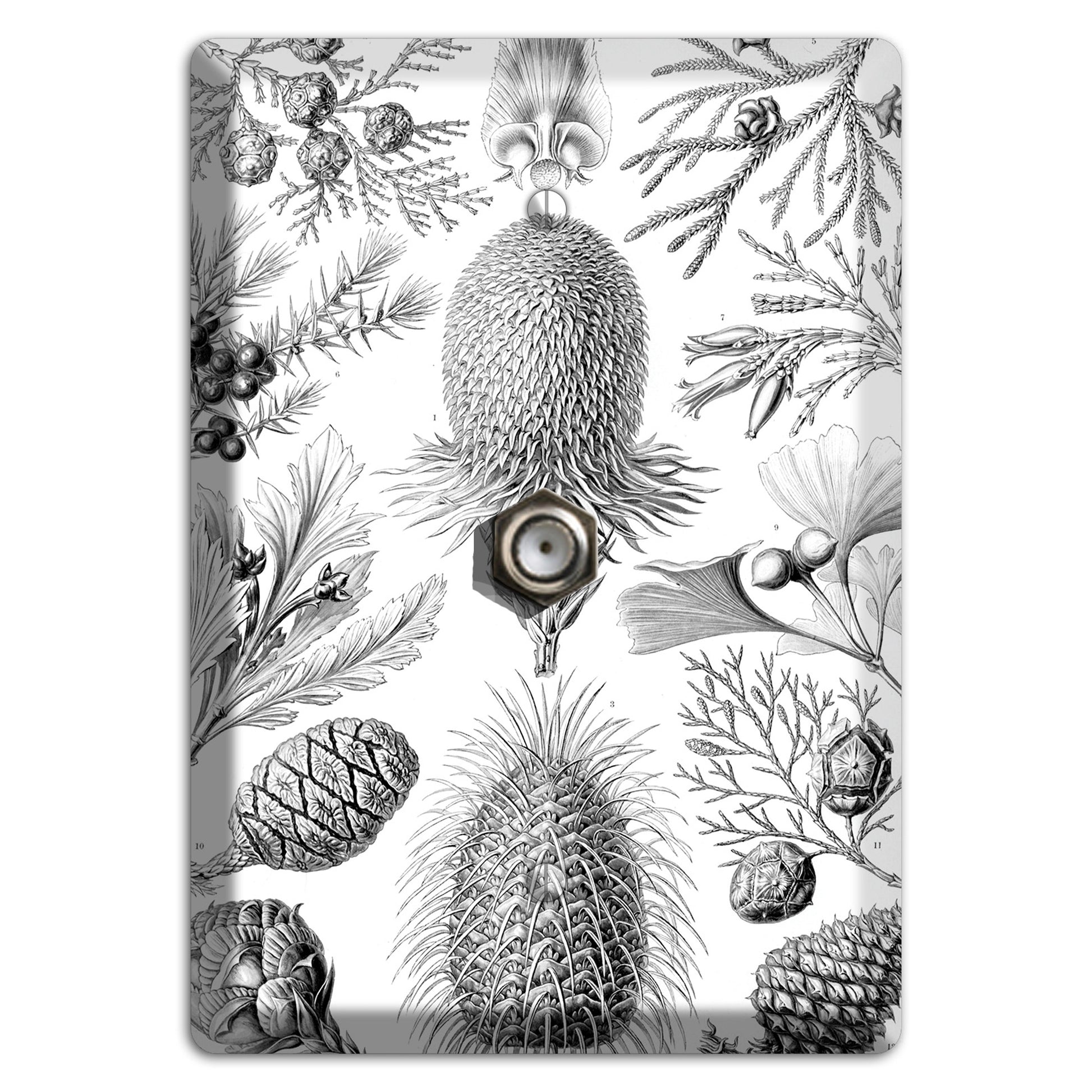 Haeckel - Coniferae Cable Wallplate