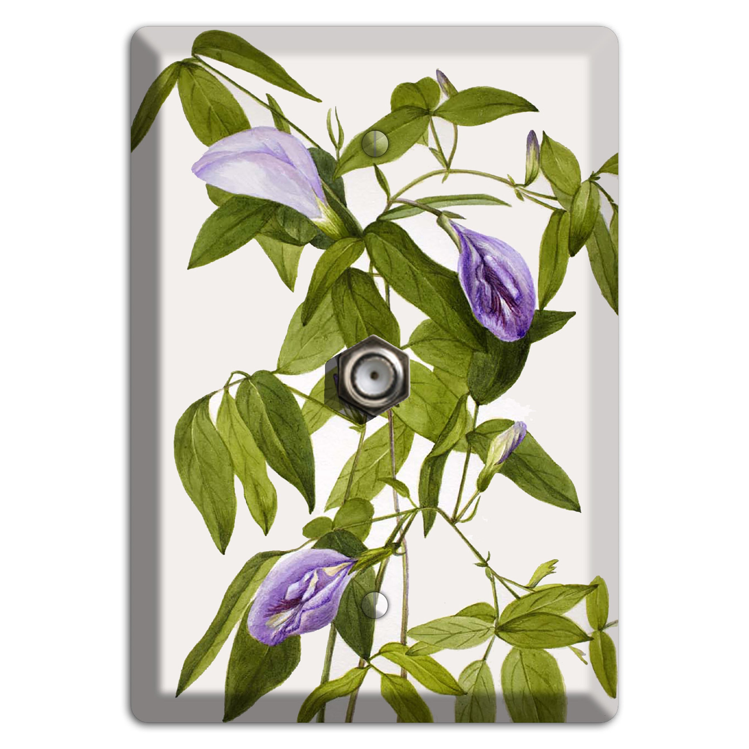 Clitoria Mariana Cable Wallplate
