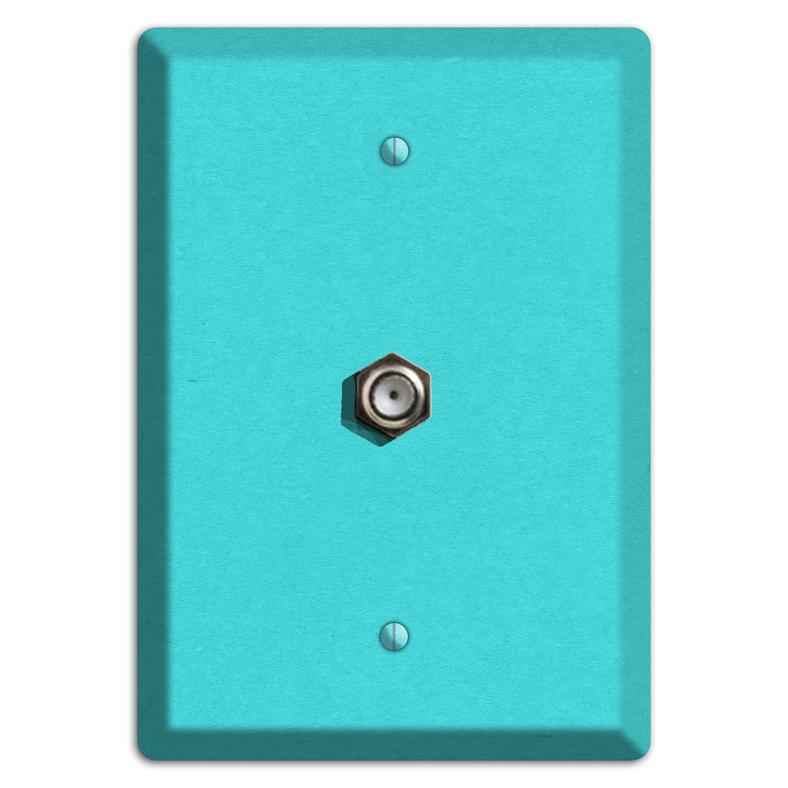 Turquoise Kraft Cable Wallplate