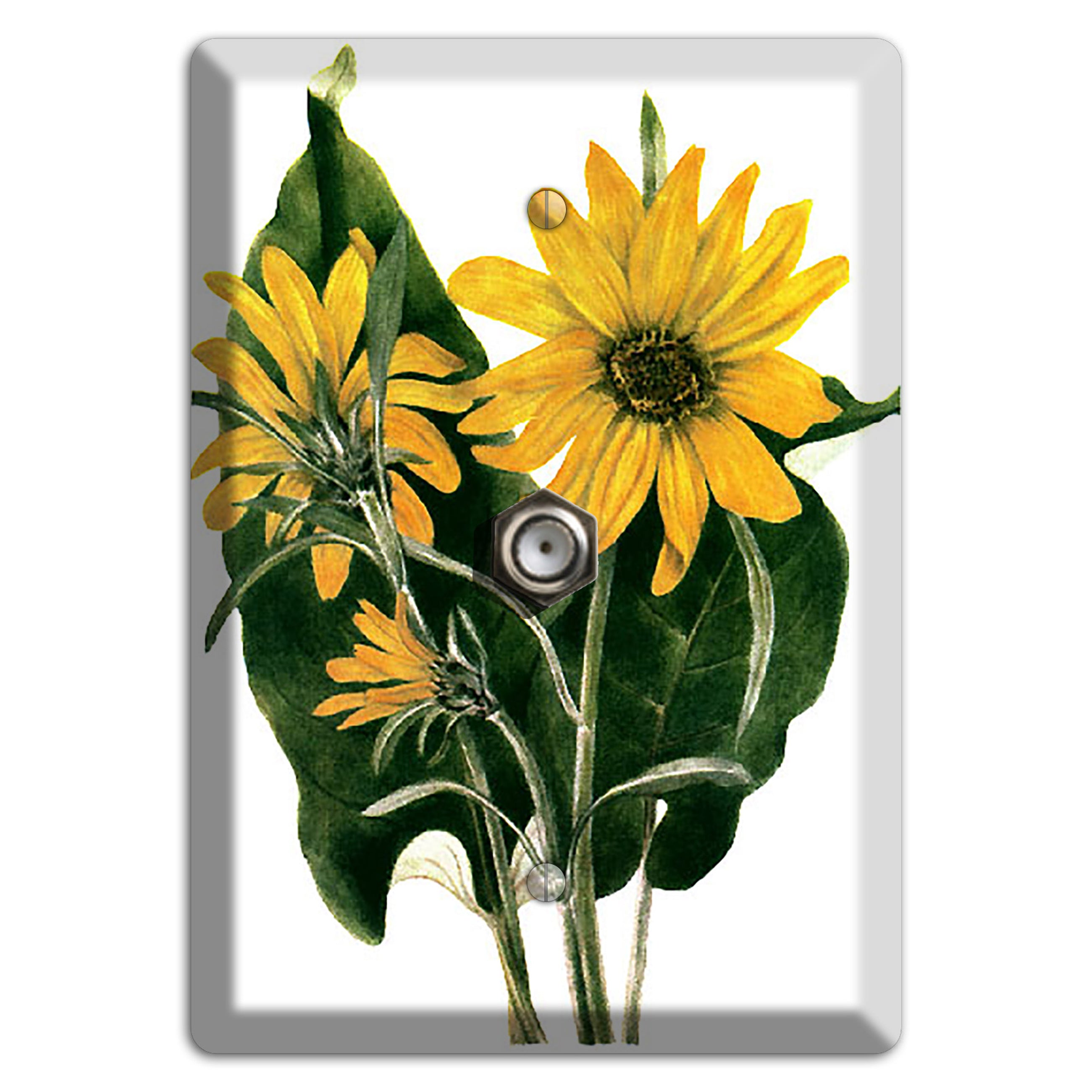 Balsamorhiza Sagittata Cable Wallplate