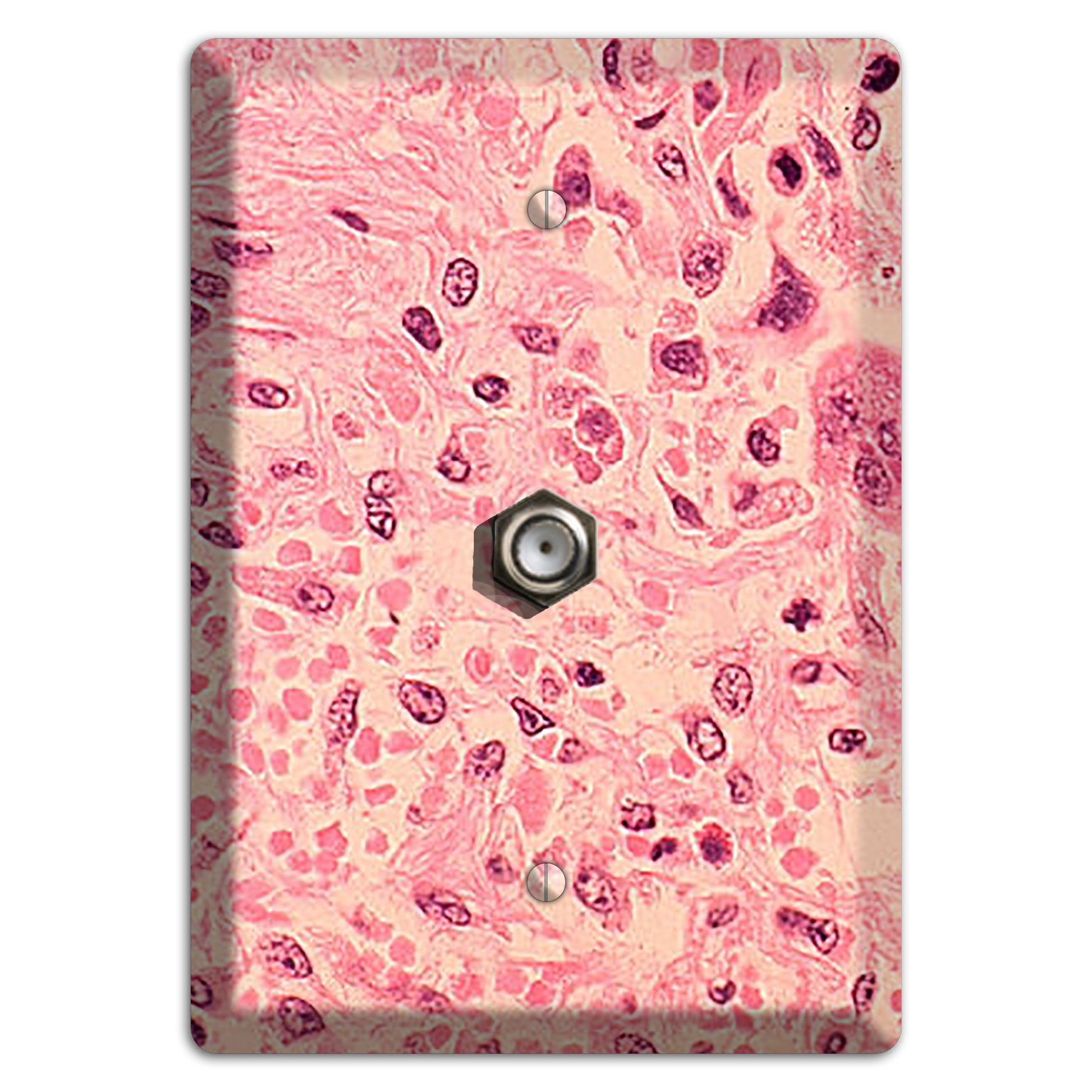 Measles Pneumonia Cable Wallplate