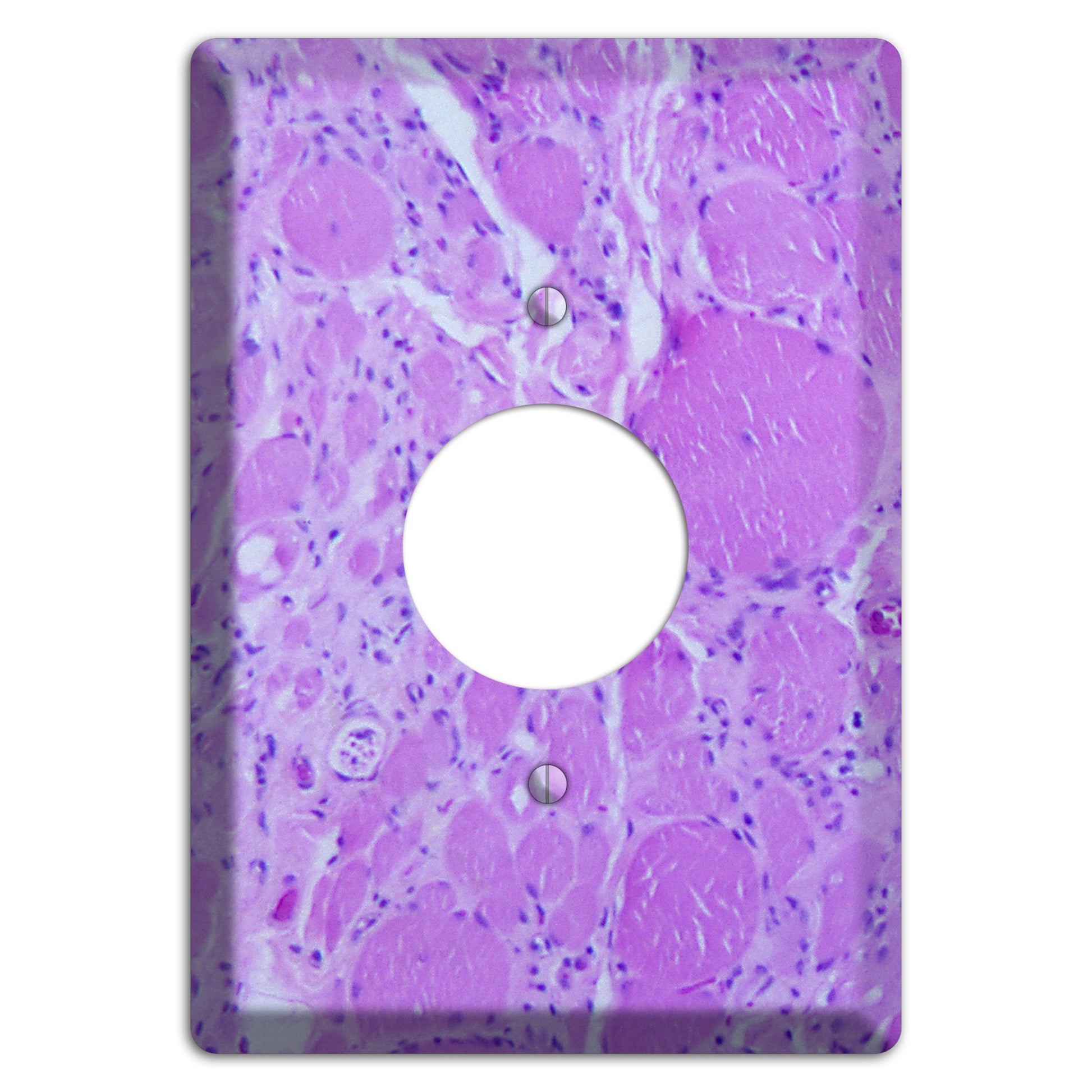 Poliovirus Myotonic Dystrophic Single Receptacle Wallplate