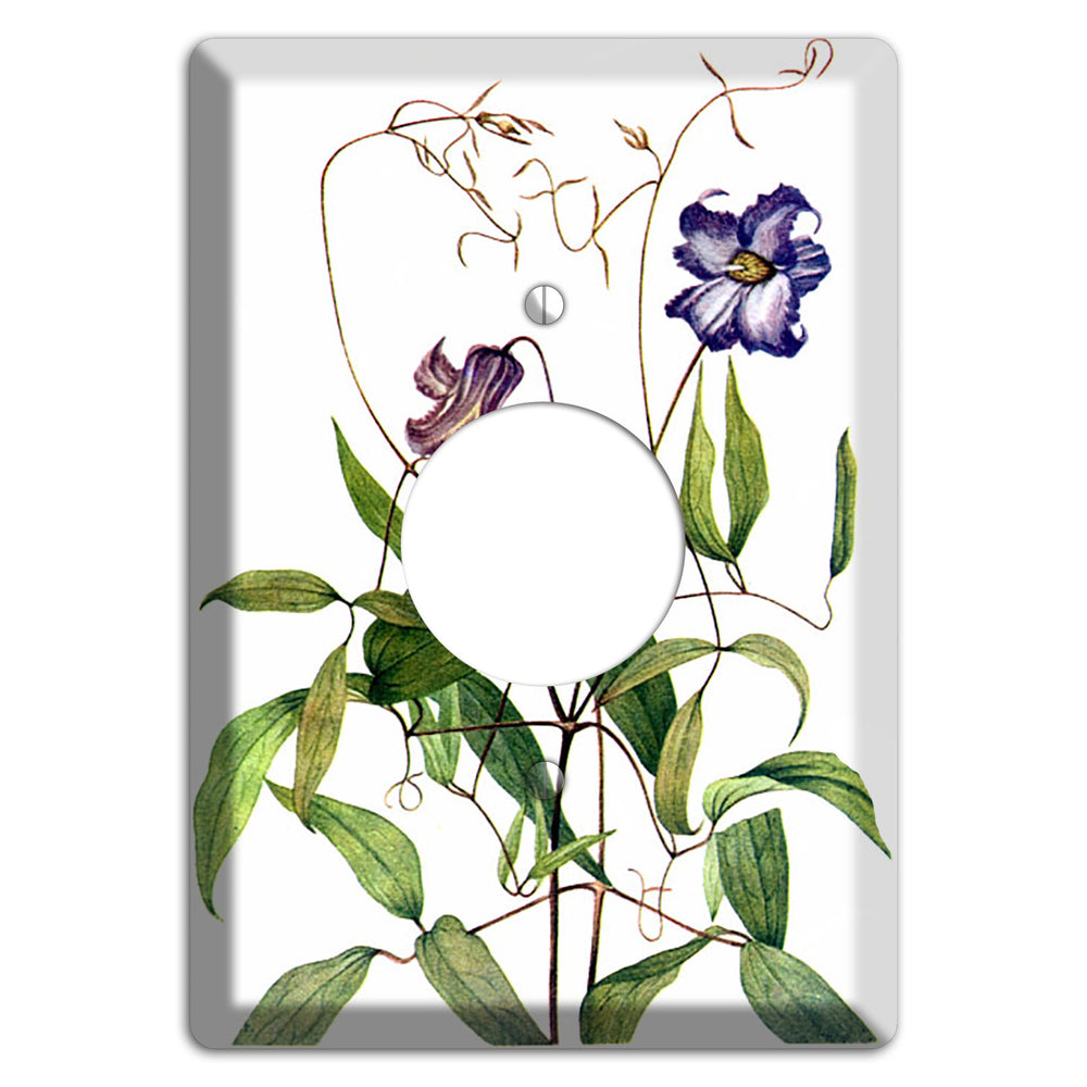 Clematis Crispa Single Receptacle Wallplate