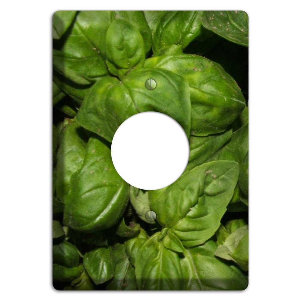 Basil Single Receptacle Wallplate