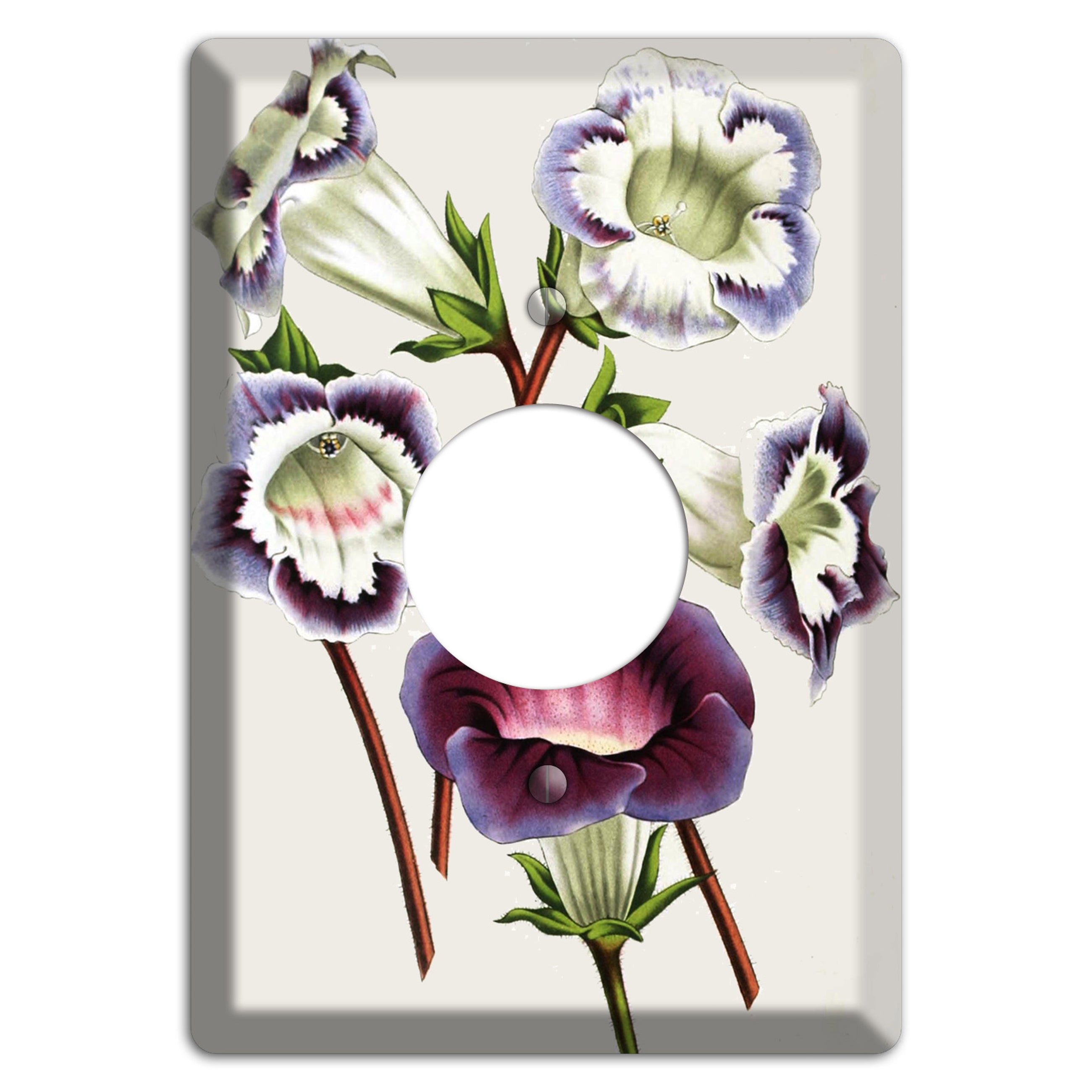 Gloxinas Single Receptacle Wallplate