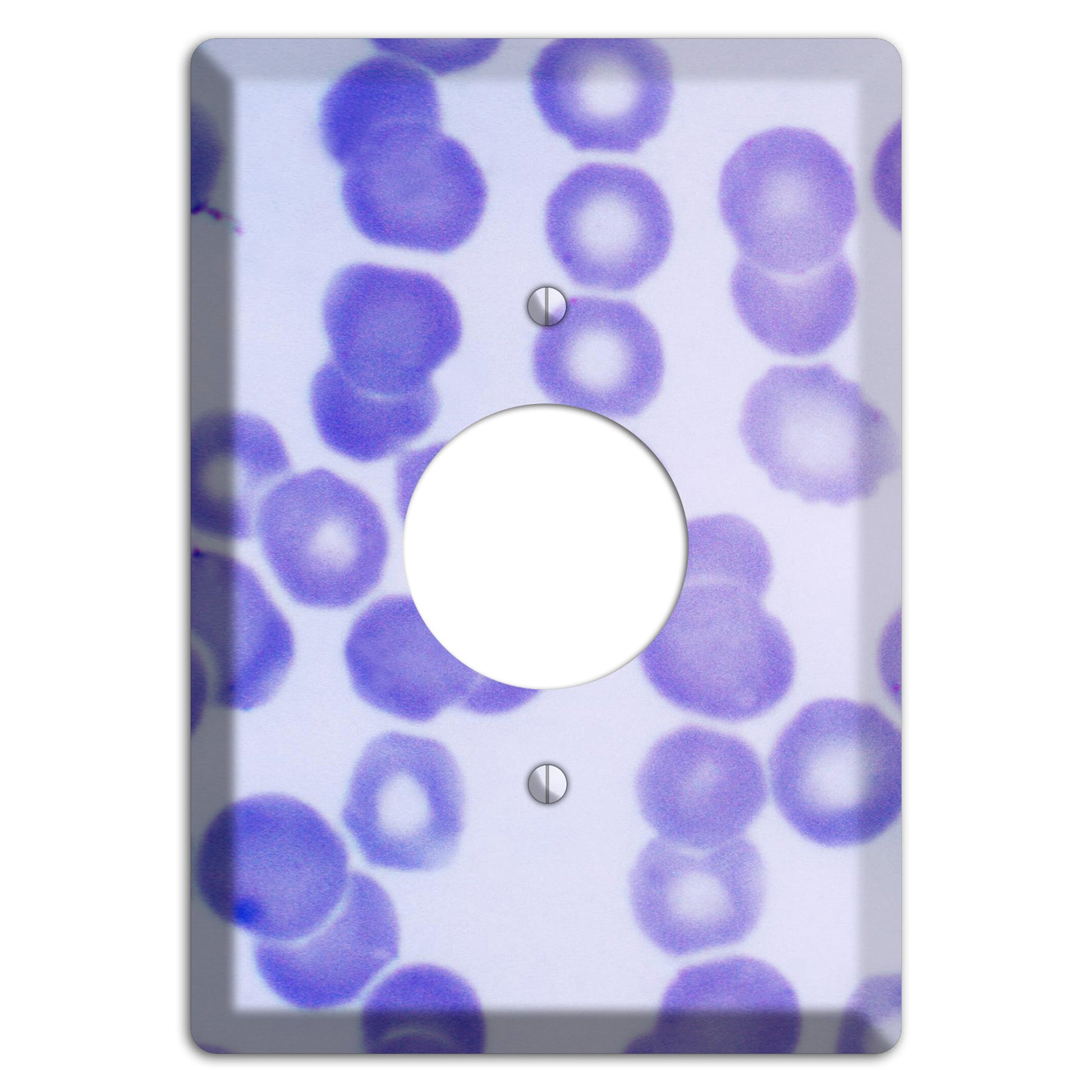 Plasmodium Malariae Schizont Single Receptacle Wallplate