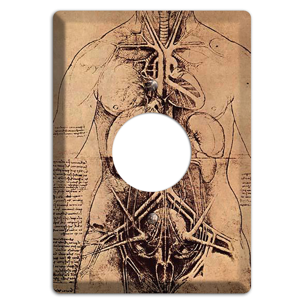 Da Vinci - Principle Organs Single Receptacle Wallplate