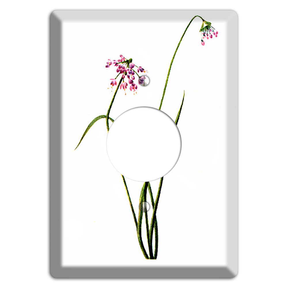 Allium Cernum Single Receptacle Wallplate