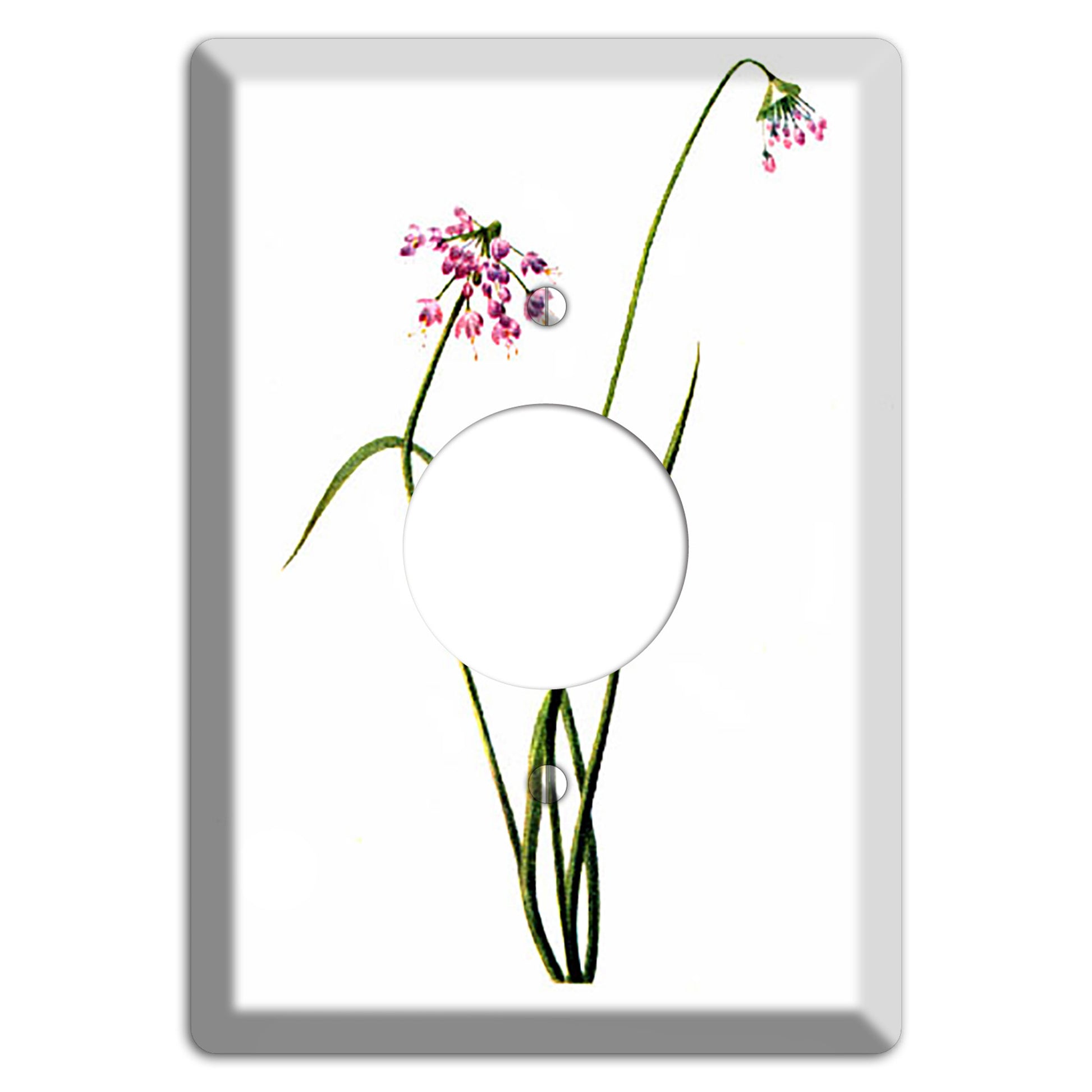 Allium Cernum Single Receptacle Wallplate