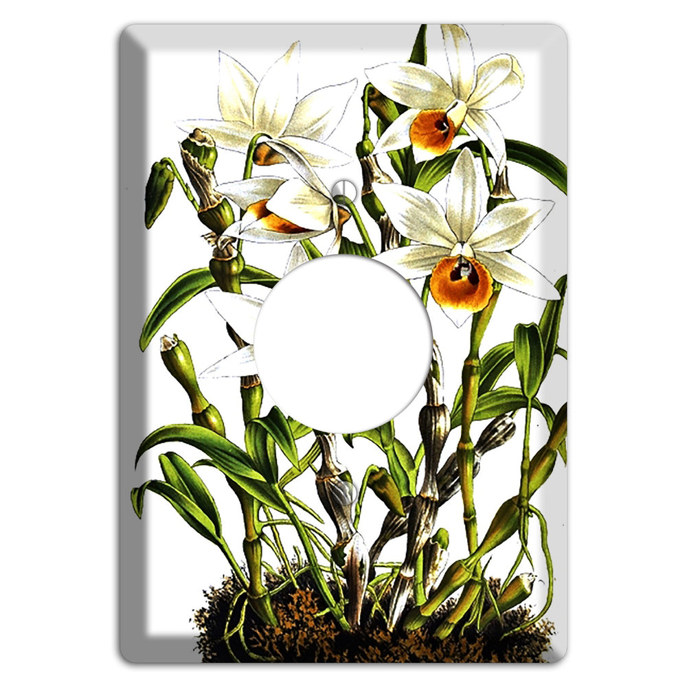 Dendrobium Single Receptacle Wallplate