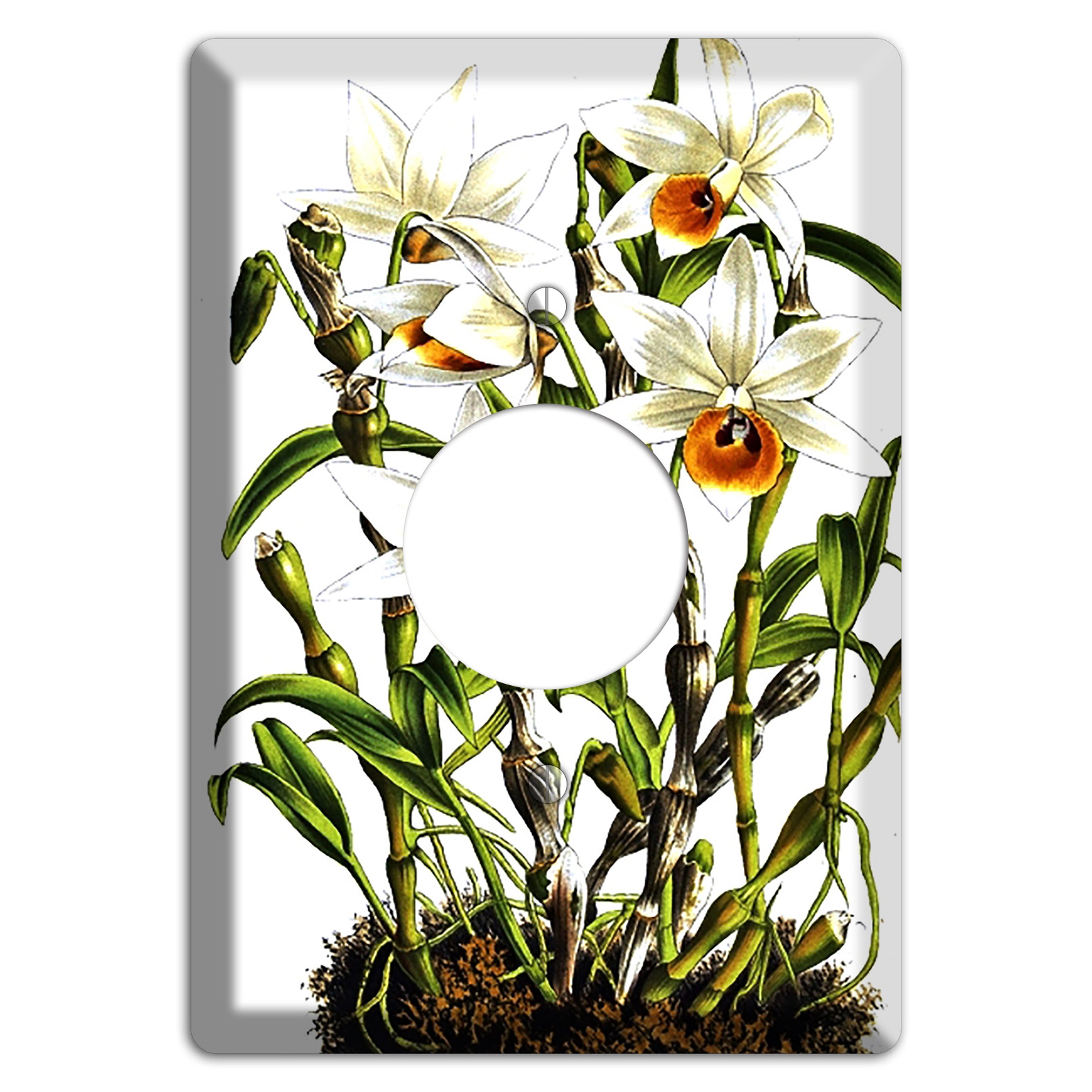 Dendrobium Single Receptacle Wallplate