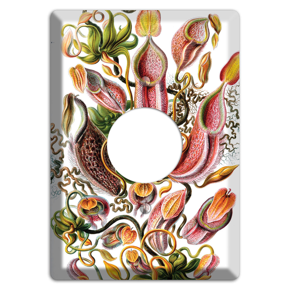Haeckel - Nepenthaceae Single Receptacle Wallplate