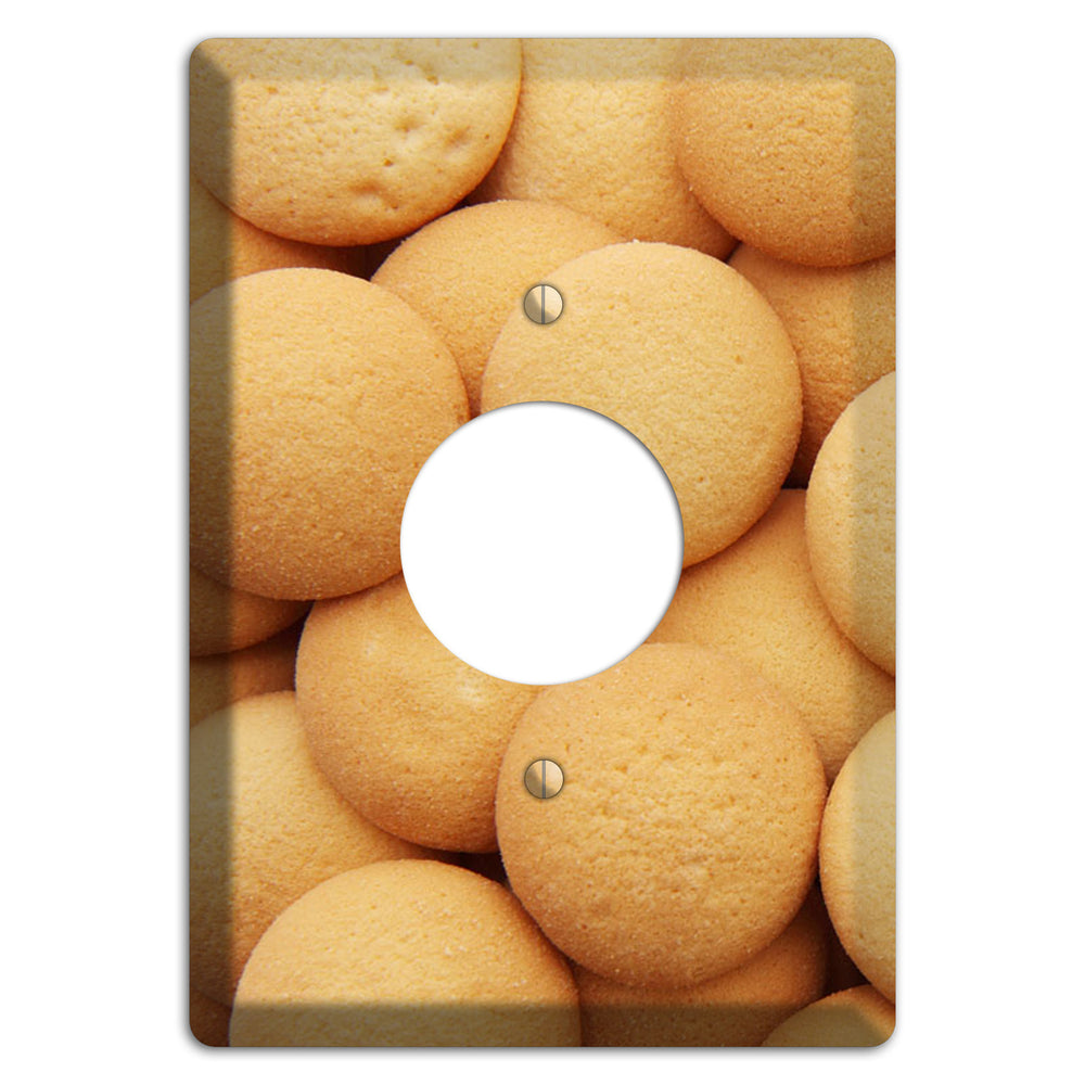 Wafers Single Receptacle Wallplate