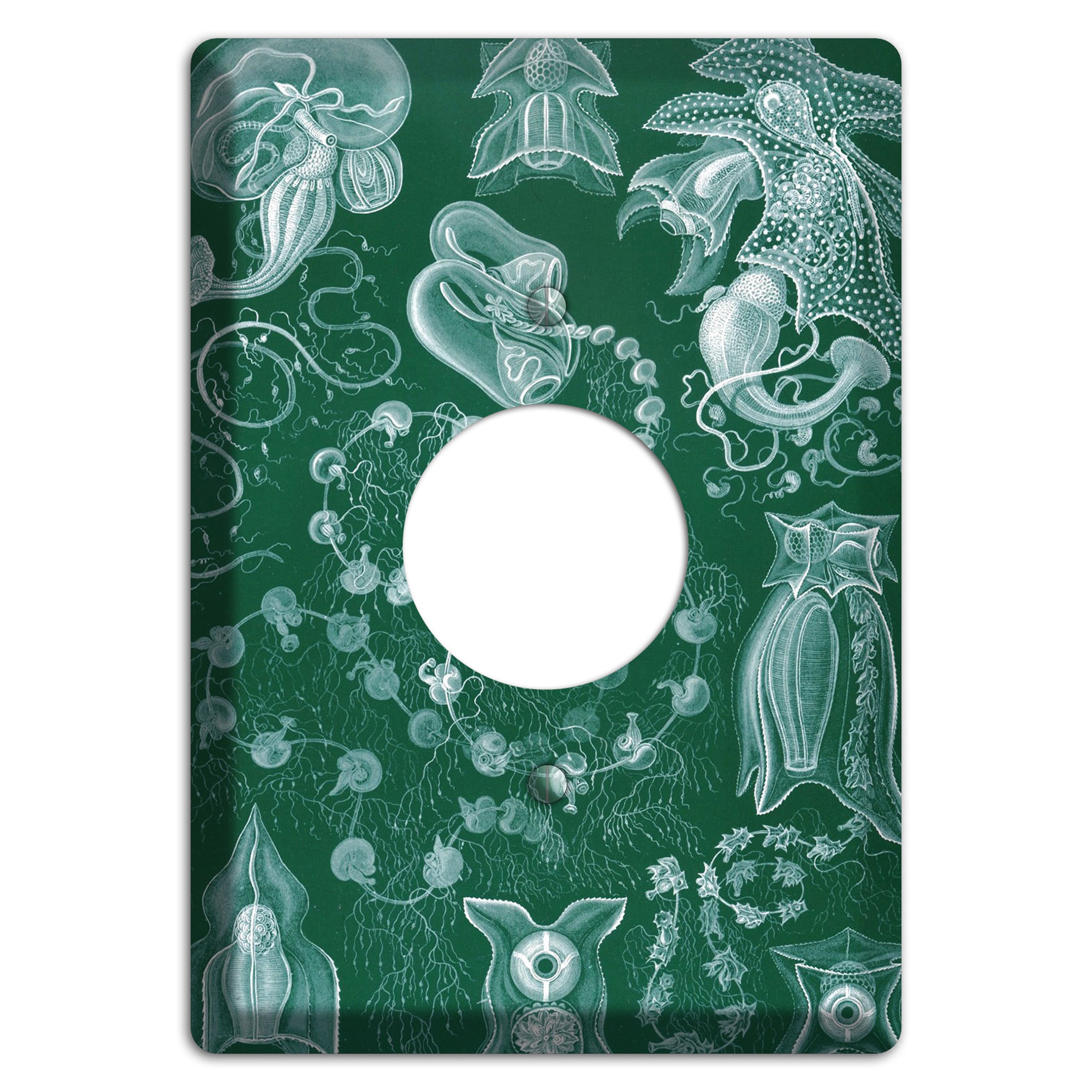 Haeckel - Siphonophorae 2 Single Receptacle Wallplate