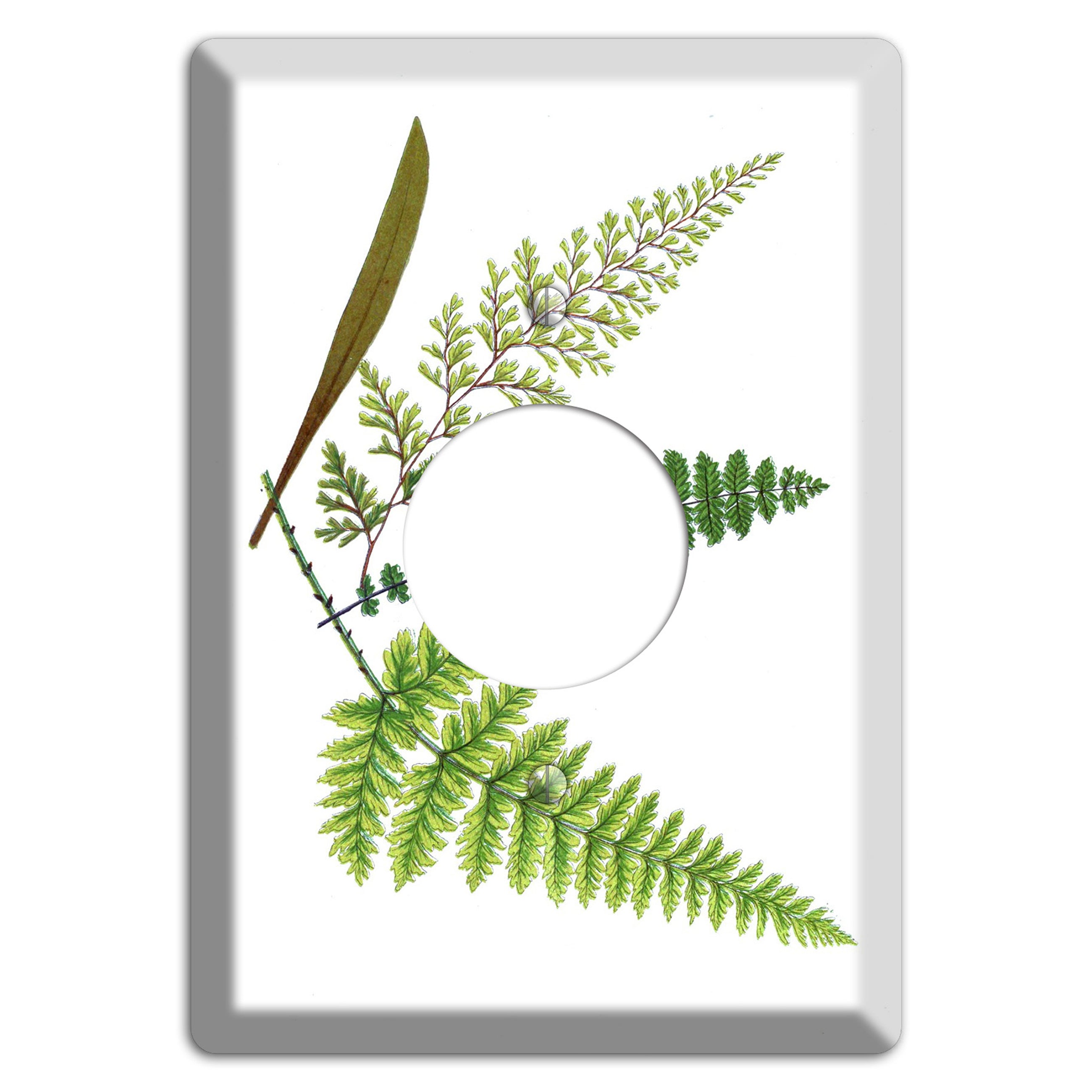Ferns Single Receptacle Wallplate