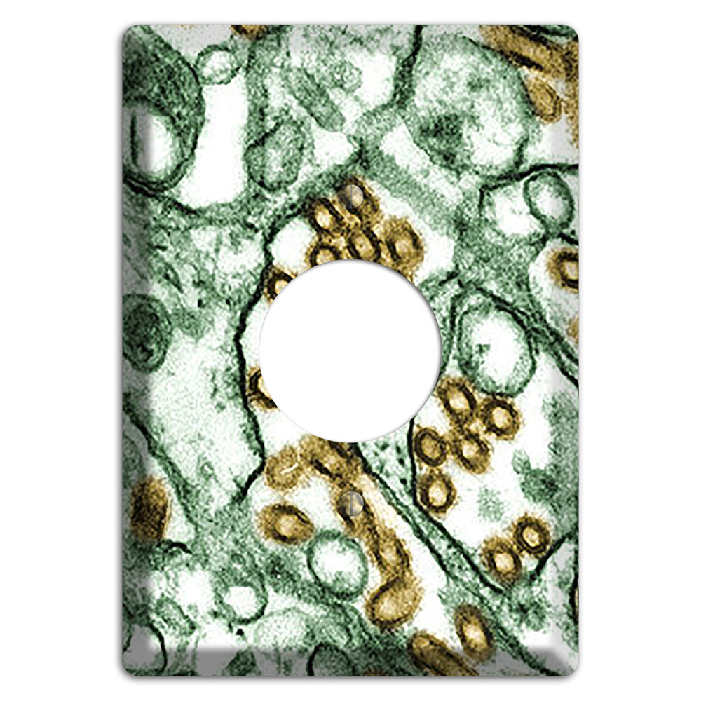 influenza A H5N1 Single Receptacle Wallplate