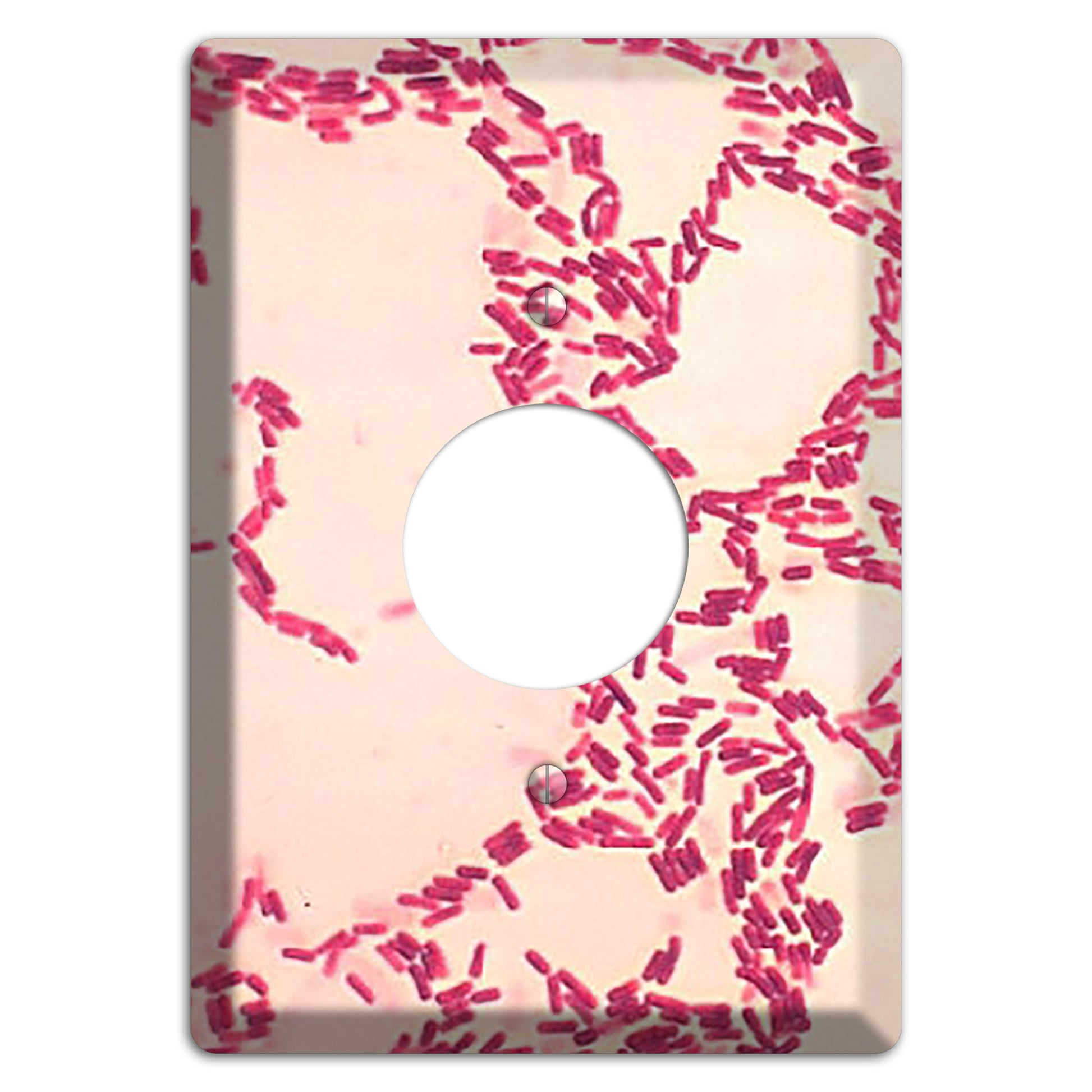 Bacillus Coagulans Single Receptacle Wallplate